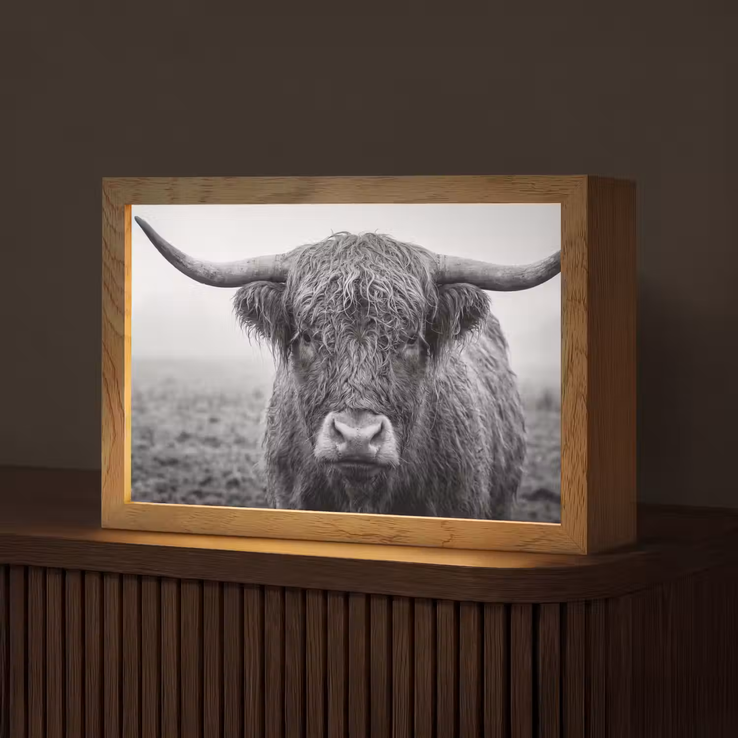Schotse hooglander - Zwart - Wit - Gras Light Box met kabel (Tafellamp) klein -z3d_website