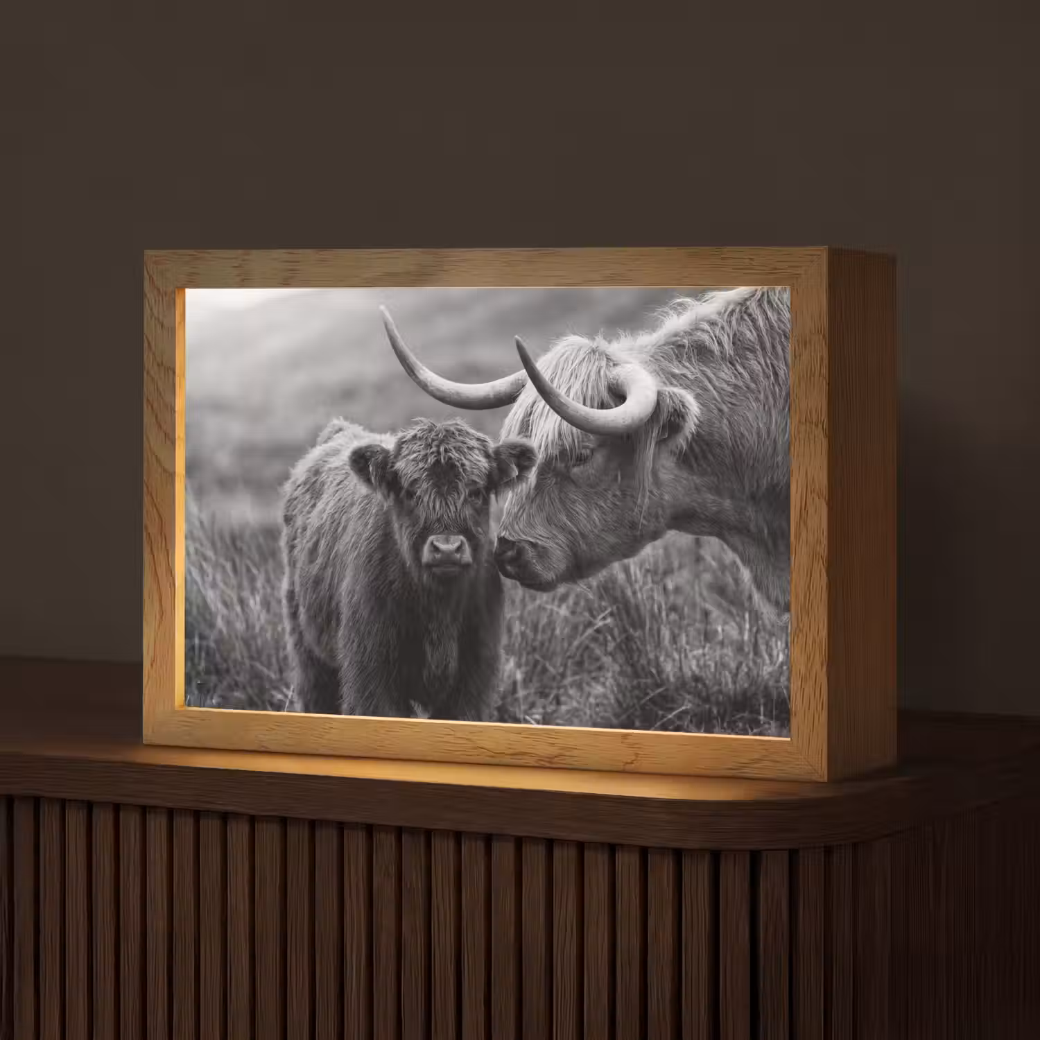 Schotse hooglander - Kalf - Zwart - Wit Light Box met kabel (Tafellamp) klein -z3d_website