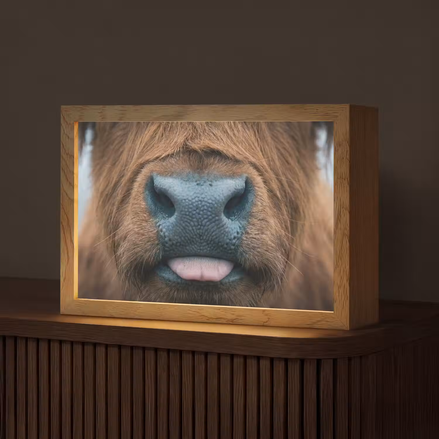 Schotse hooglander - Neus - Bruin Light Box met kabel (Tafellamp) klein -z3d_website
