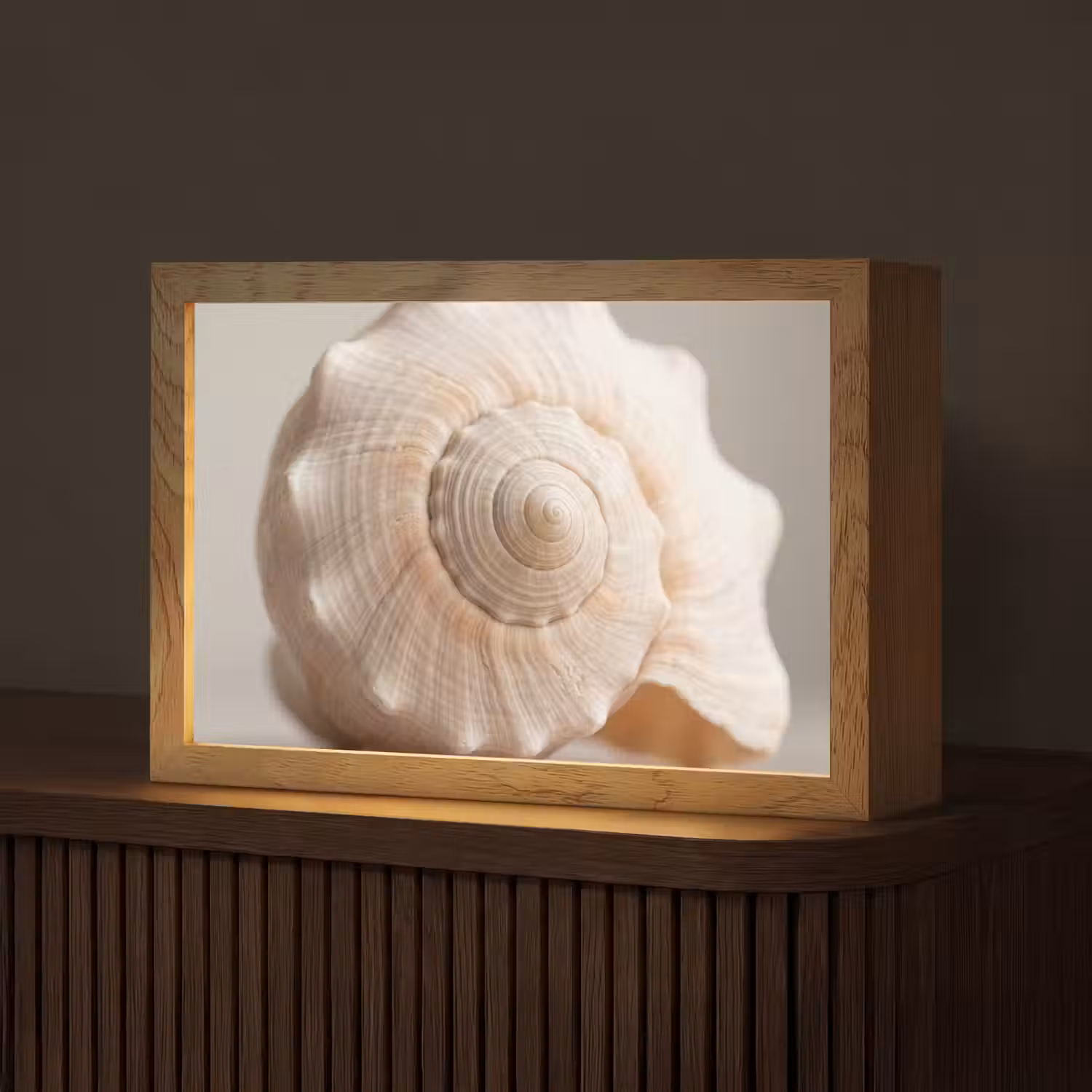 Schelp - Detail - Beige Light Box met kabel (Tafellamp) klein -z3d_website