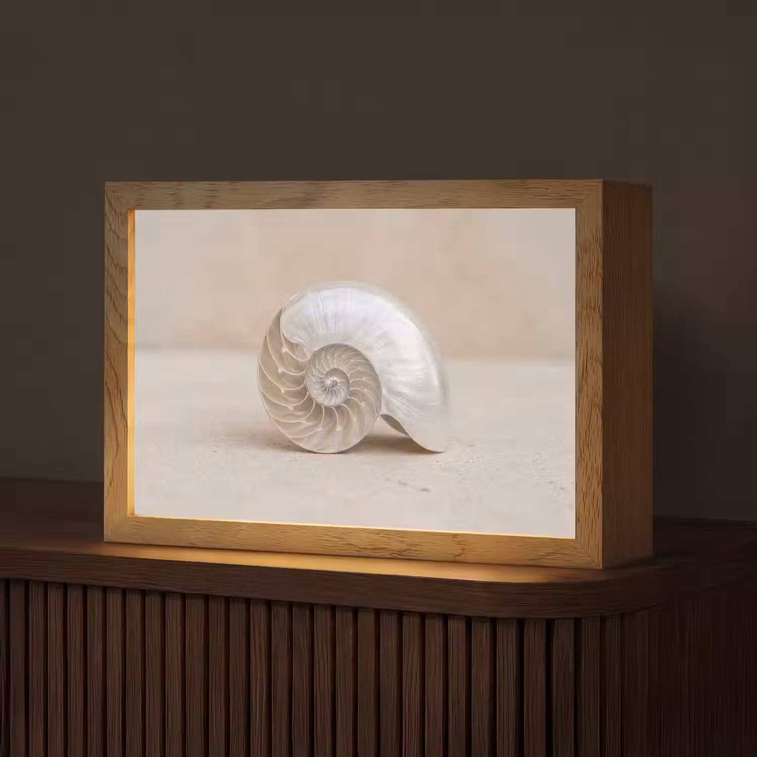 Schelp - Spiraal - Beige Light Box met kabel (Tafellamp) klein -z3d_website