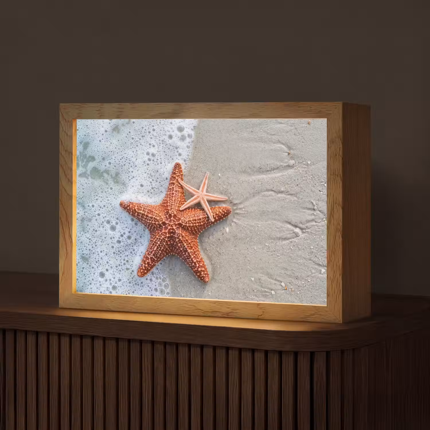 Zeester - Strand - Zee Light Box met kabel (Tafellamp) klein -z3d_website