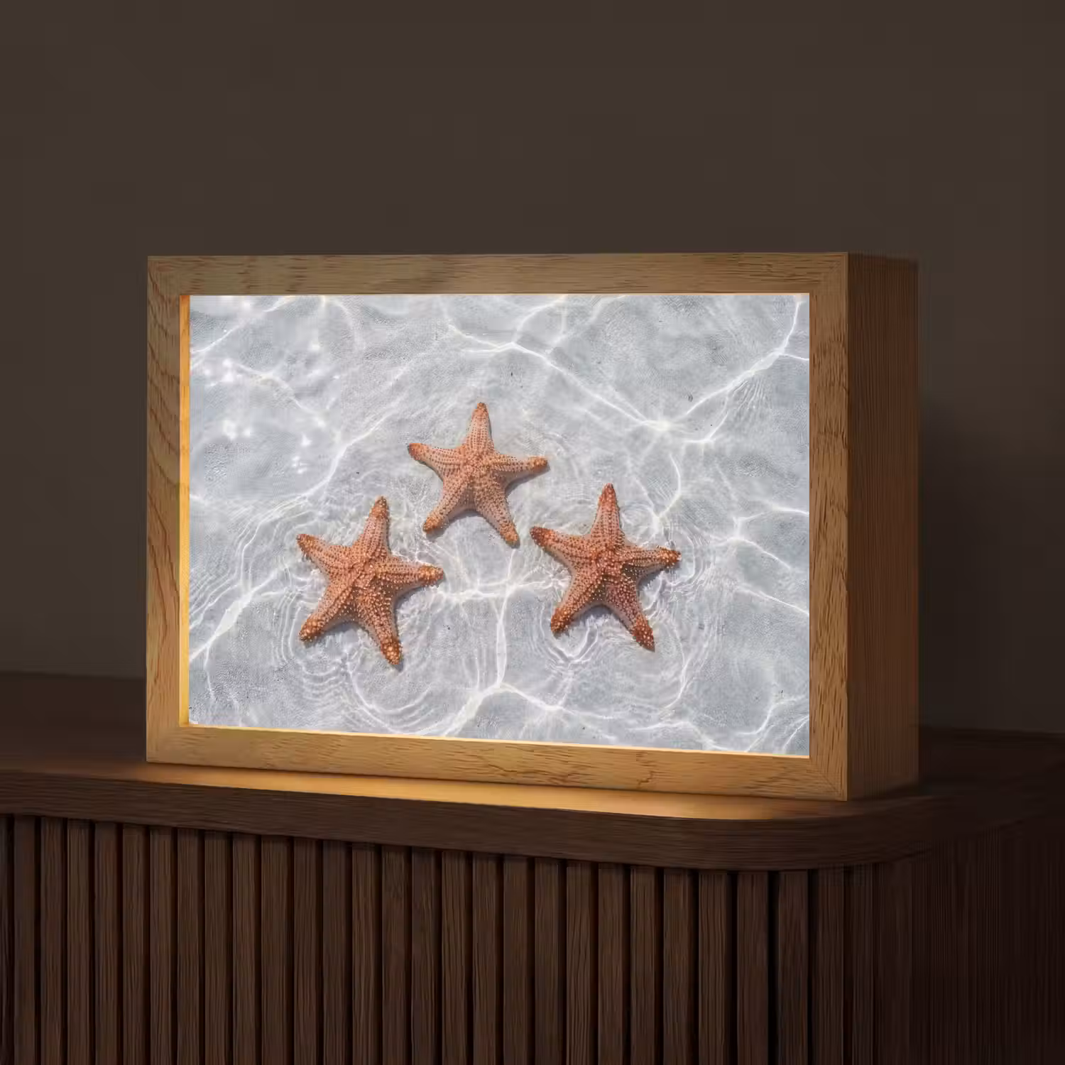 Zeesterren - Water - Helder Light Box met kabel (Tafellamp) klein -z3d_website