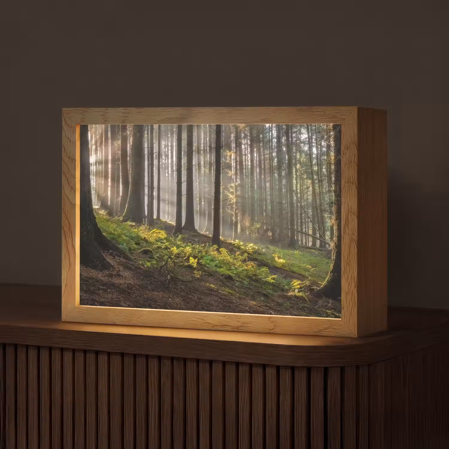 Zon - Takken - Bomen - Bos - Natuur Light Box met kabel (Tafellamp) klein -z3d_website