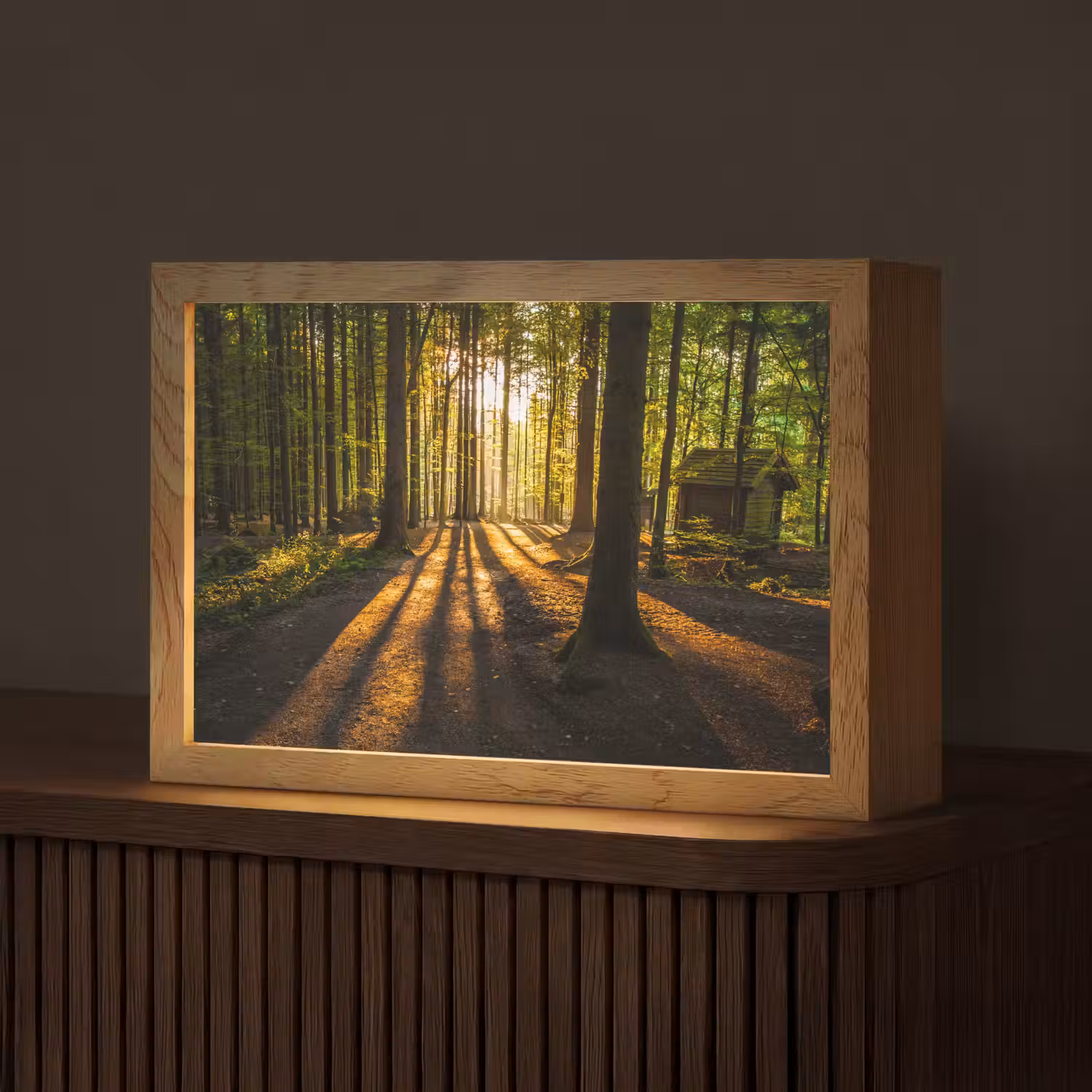 Zon - Bomen - Bos - Landschap - Natuur Light Box met kabel (Tafellamp) klein -z3d_website