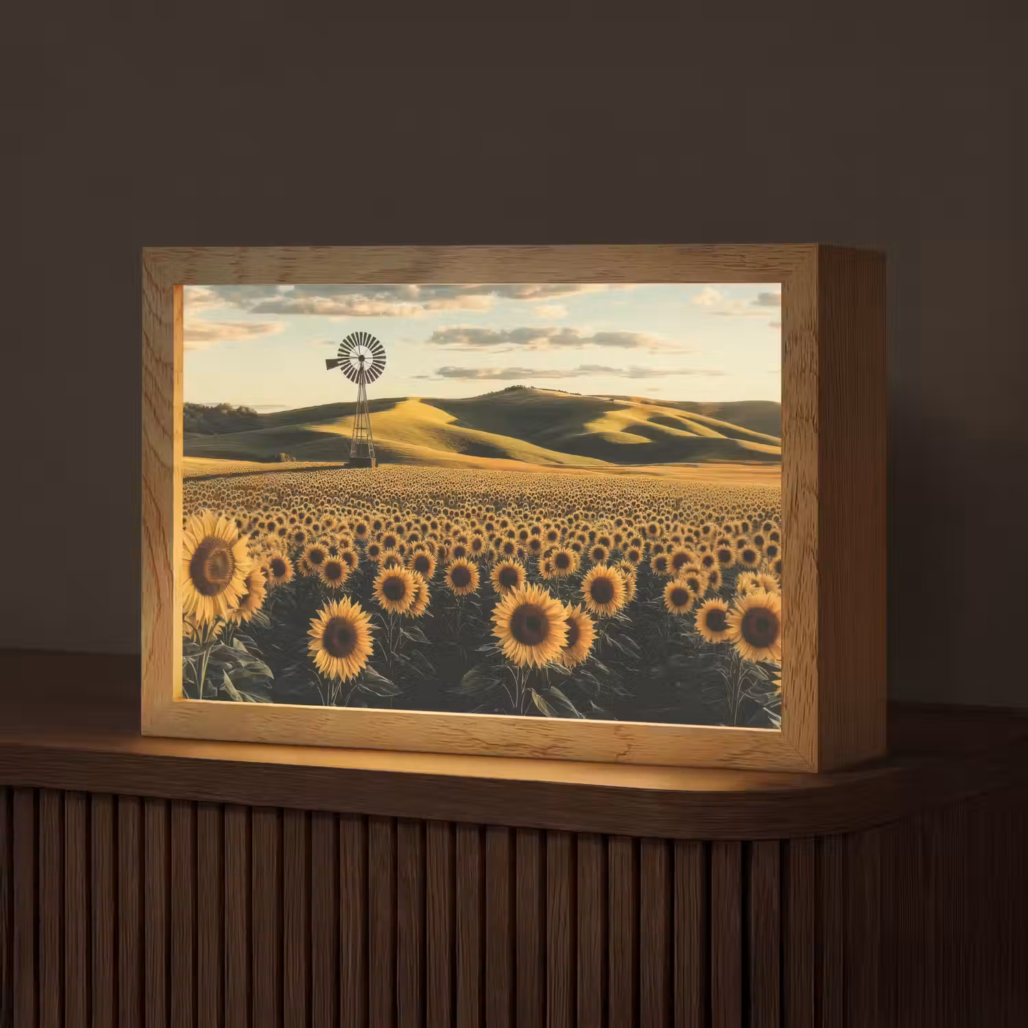 Zonnebloem - Veld - Windmolen Light Box met kabel (Tafellamp) klein -z3d_website