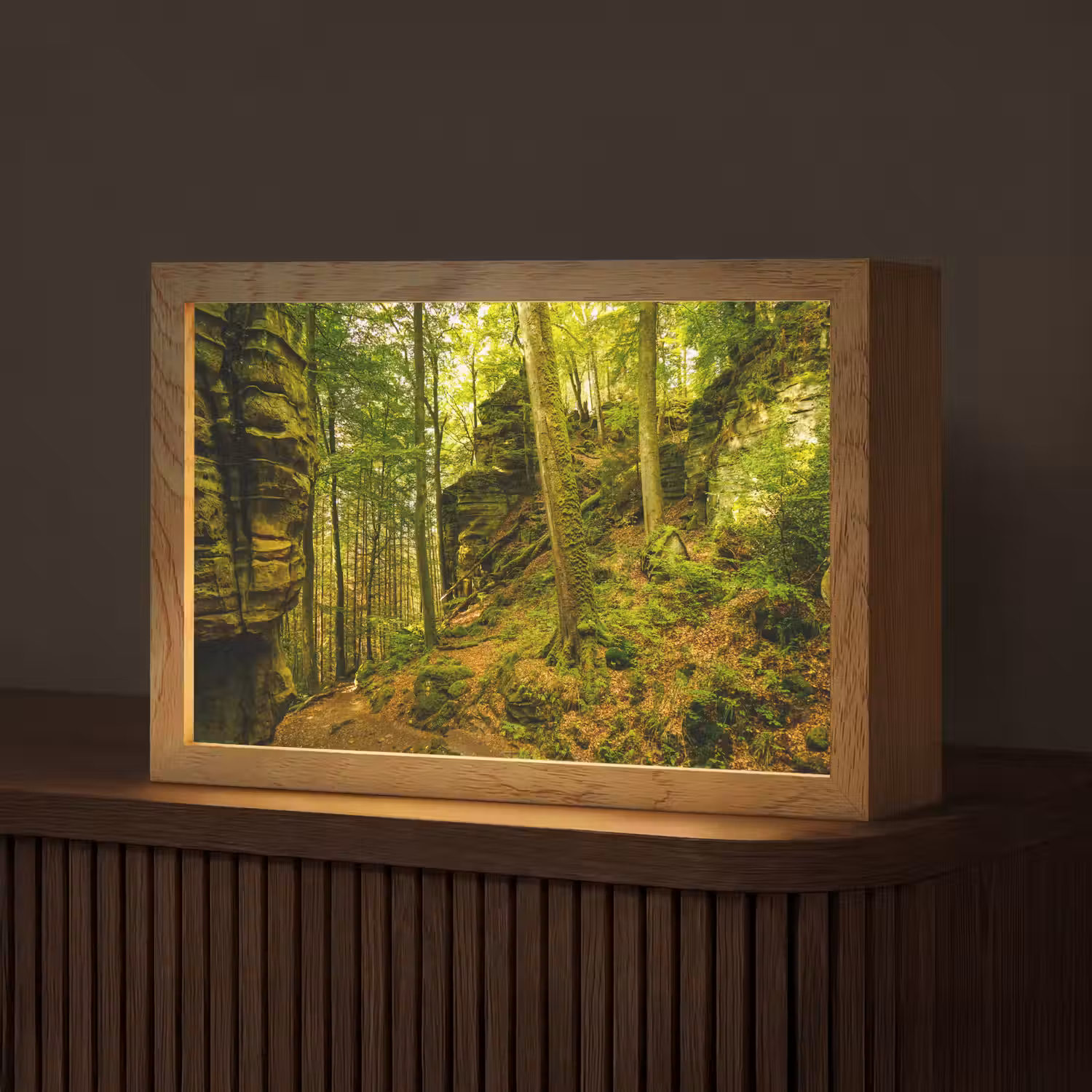 Bomen - Steen - Bos - Natuur - Planten Light Box met kabel (Tafellamp) klein -z3d_website