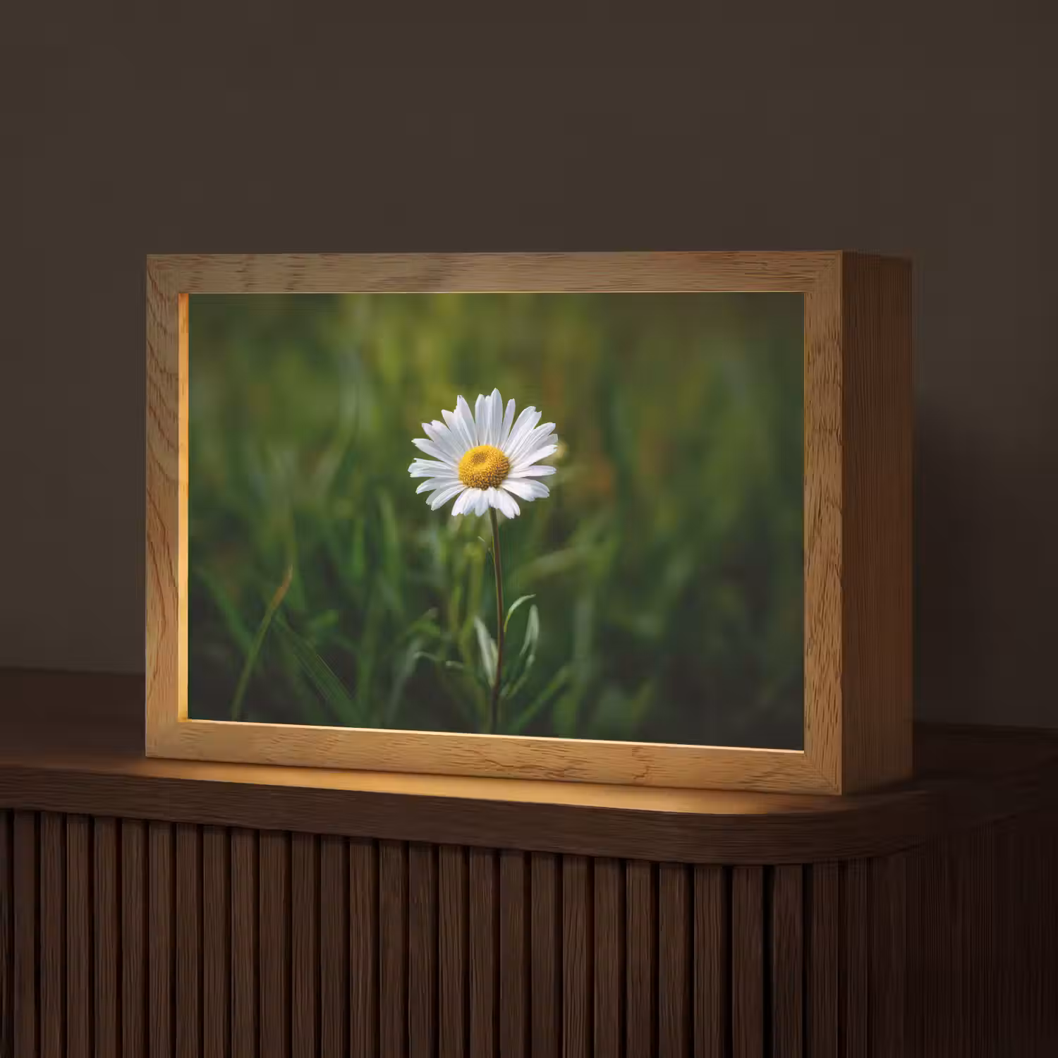 Wit - Madeliefje - Bloem - Gras Light Box met kabel (Tafellamp) klein -z3d_website