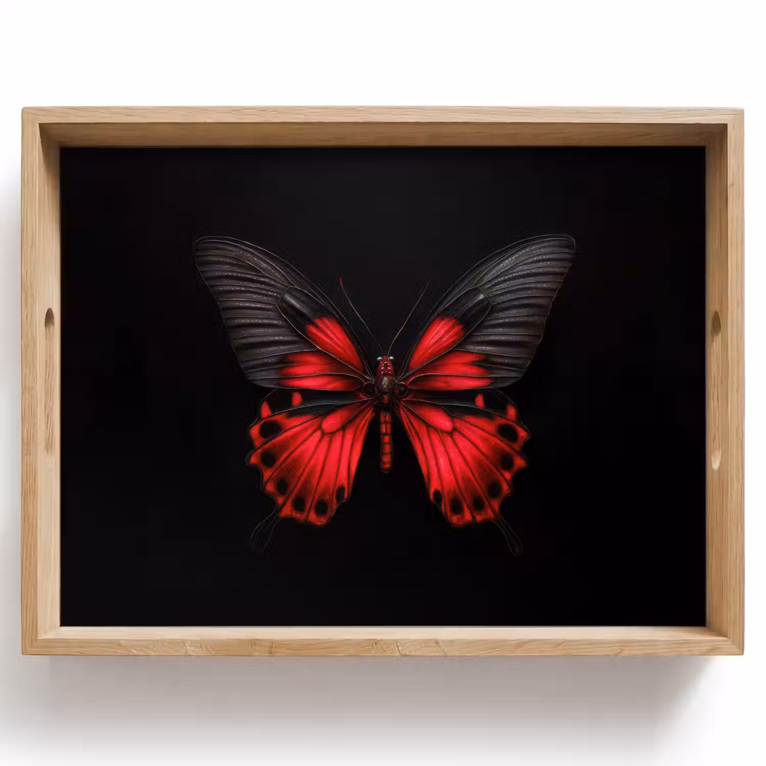 Vlinder - Rood - Contrast Dienblad Rechthoek middel -z3d_shopping