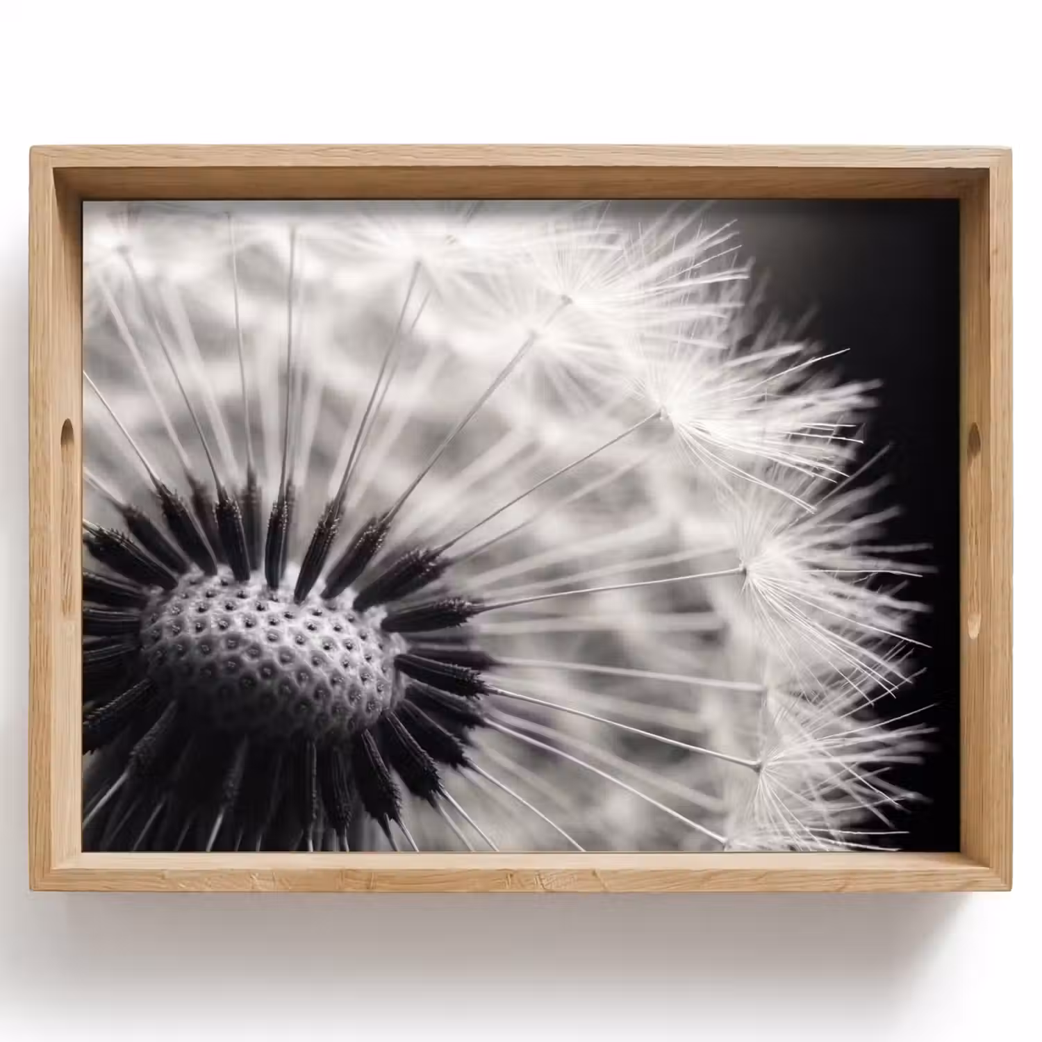 Paardenbloem - Zwart - Wit Dienblad Rechthoek middel -z3d_shopping