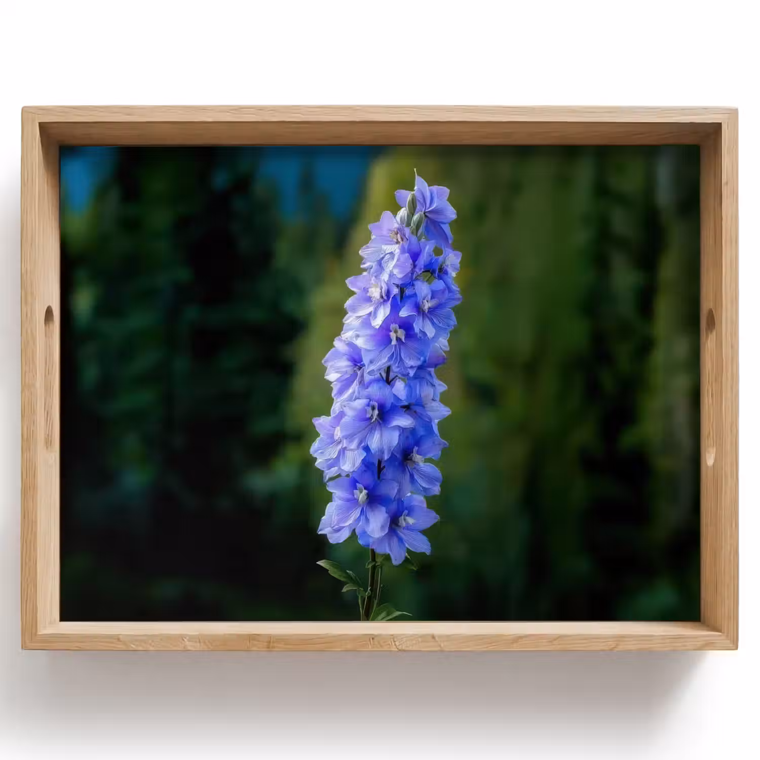 Bloemen - Blauw - Dennenboom Dienblad Rechthoek middel -z3d_shopping