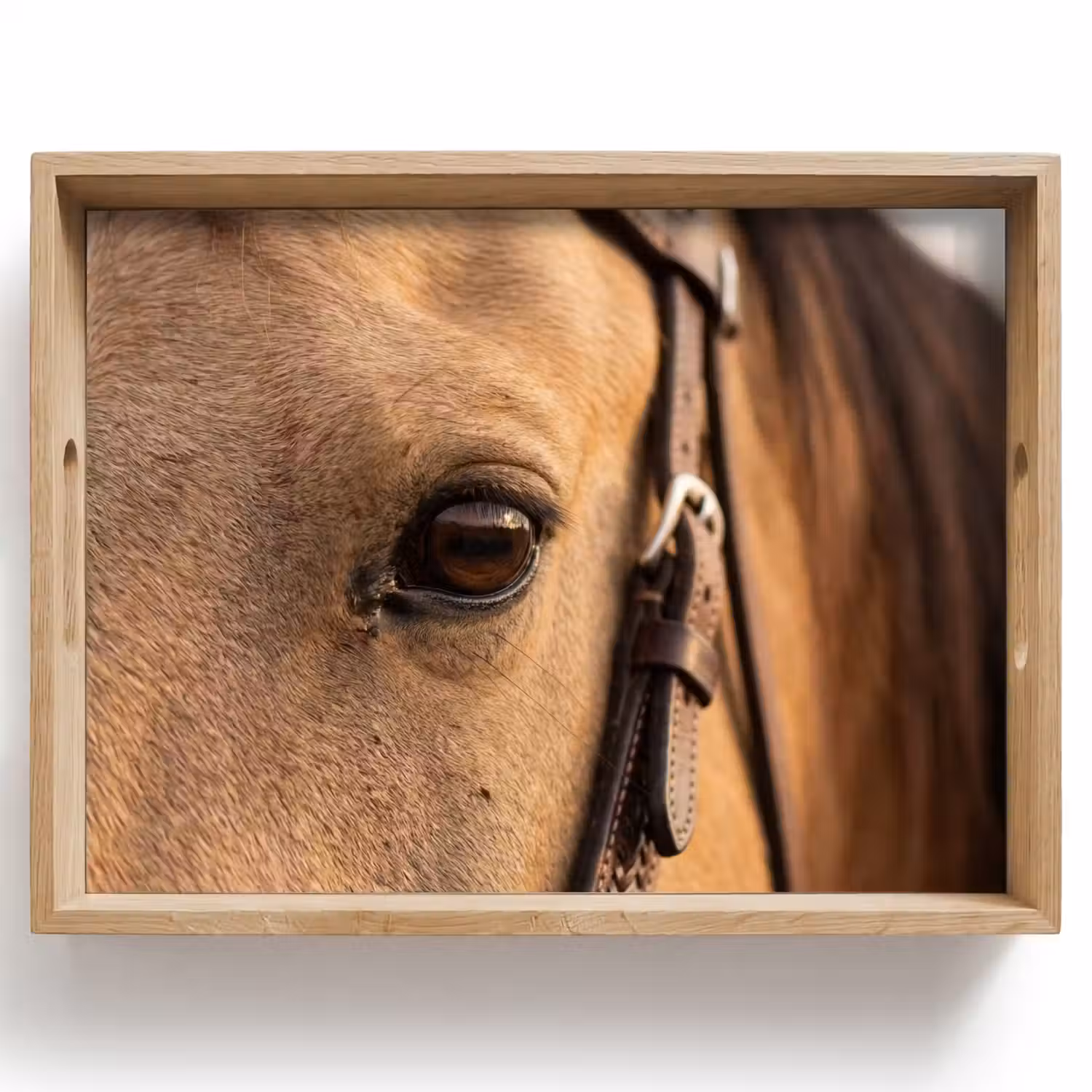 Paard - Oog - Bruin Dienblad Rechthoek middel -z3d_shopping