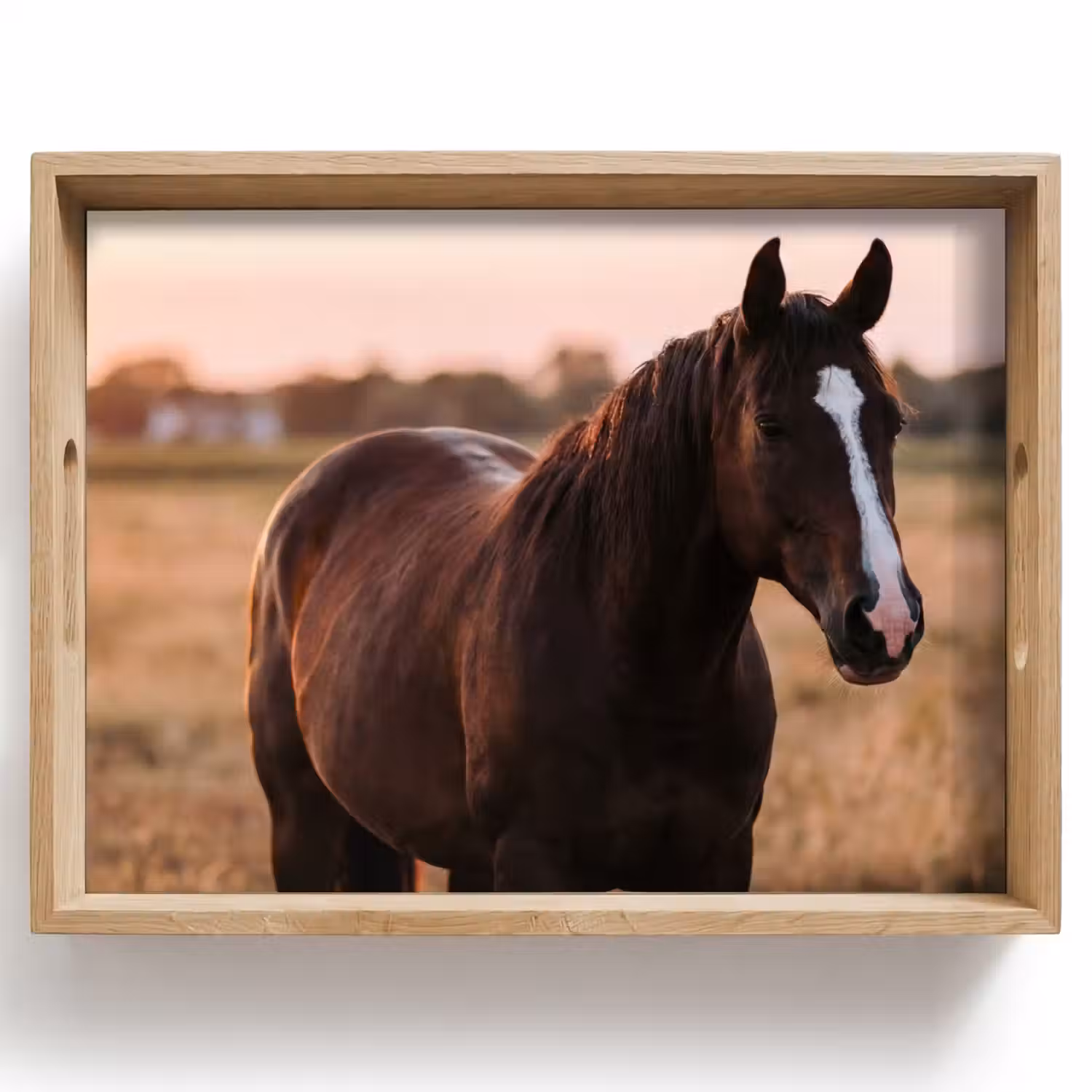 Paard - Zonsondergang - Bruin Dienblad Rechthoek middel -z3d_shopping
