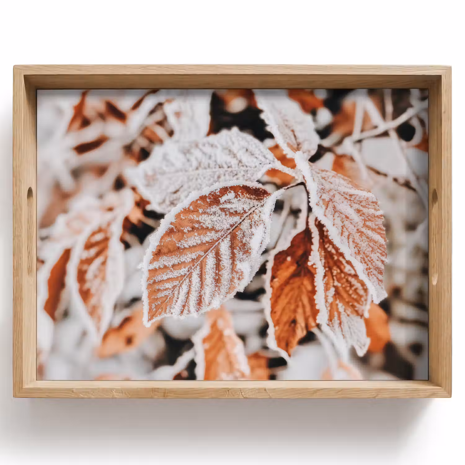 Bladeren - IJs - Winter - Natuur Dienblad Rechthoek middel -z3d_shopping
