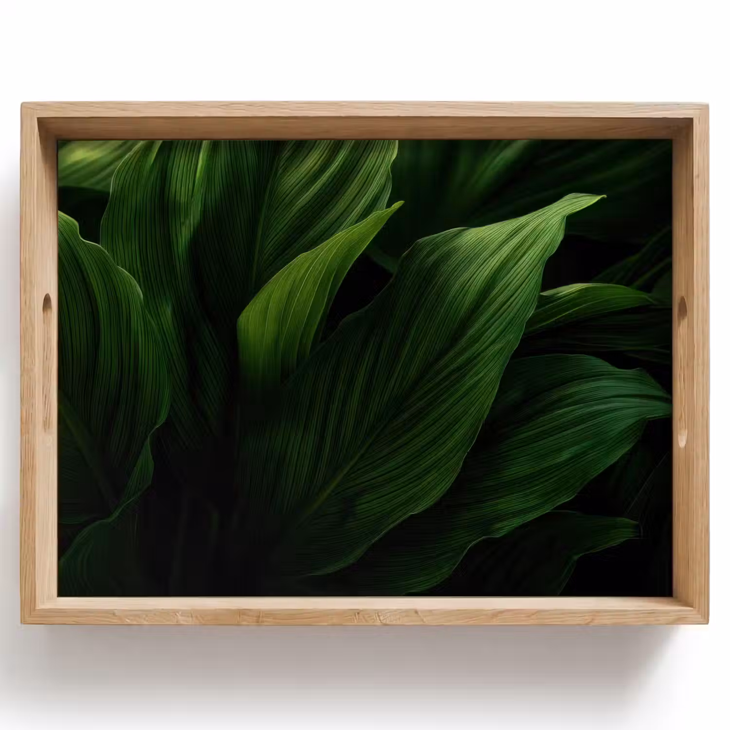 Bladeren - Schaduw - Groen - Textuur Dienblad Rechthoek middel -z3d_shopping