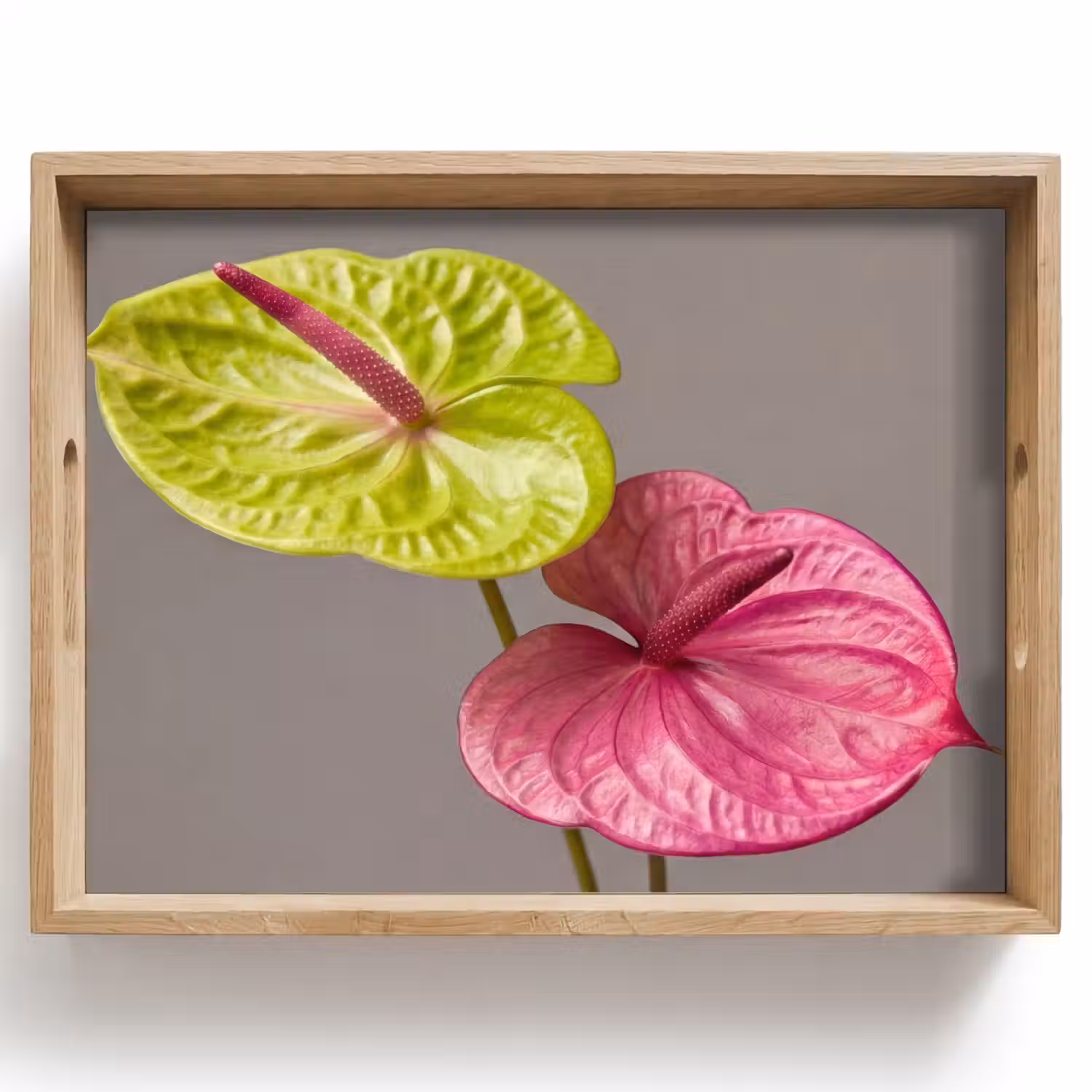 Planten - Anthurium - Groen - Roze Dienblad Rechthoek middel -z3d_shopping
