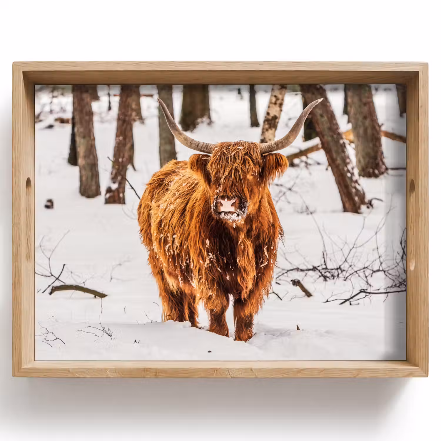 Schotse Hooglander - Sneeuw - Winter - Natuur - Dieren Dienblad Rechthoek middel -z3d_shopping