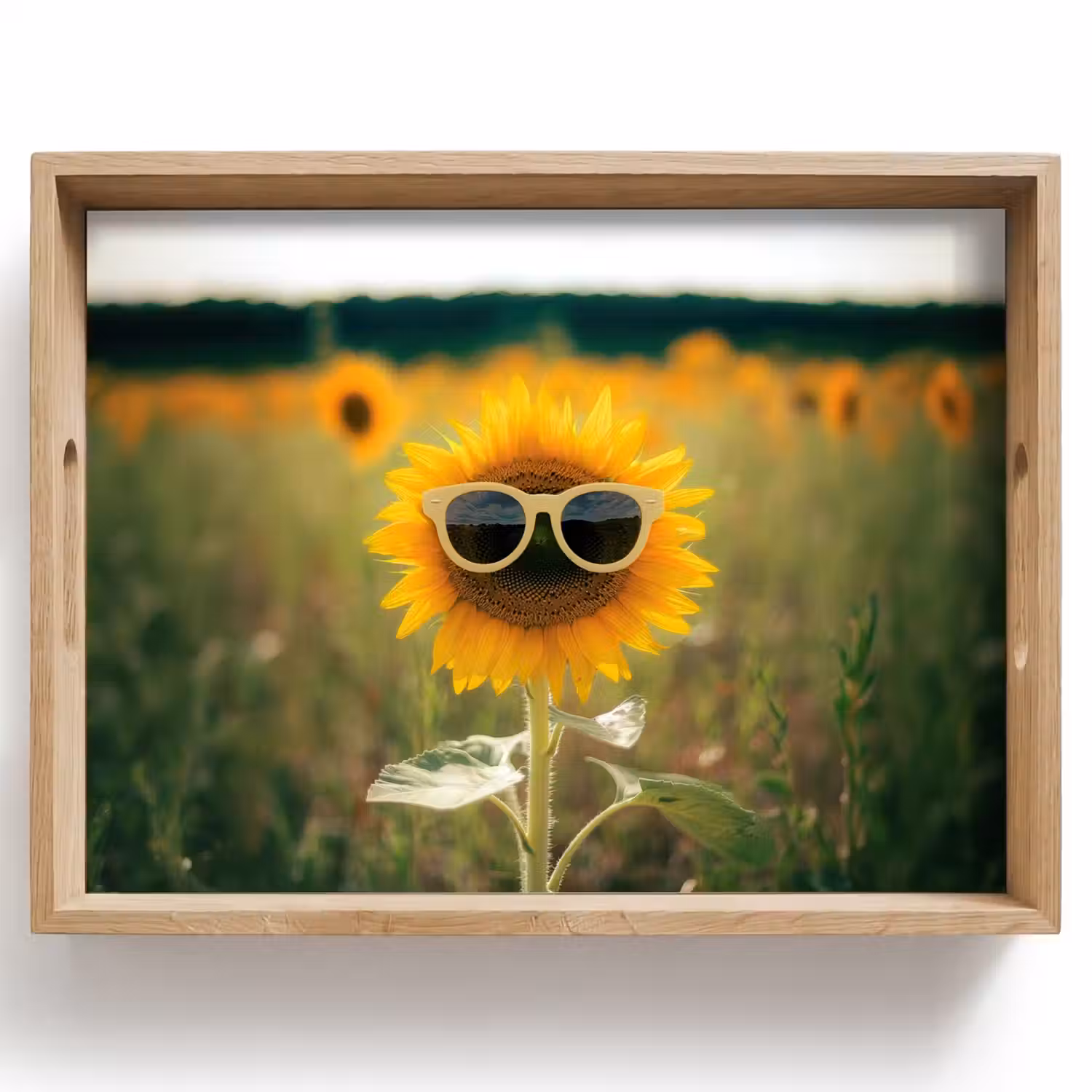 Zonnebloem - Veld - Zonnebril Dienblad Rechthoek middel -z3d_shopping