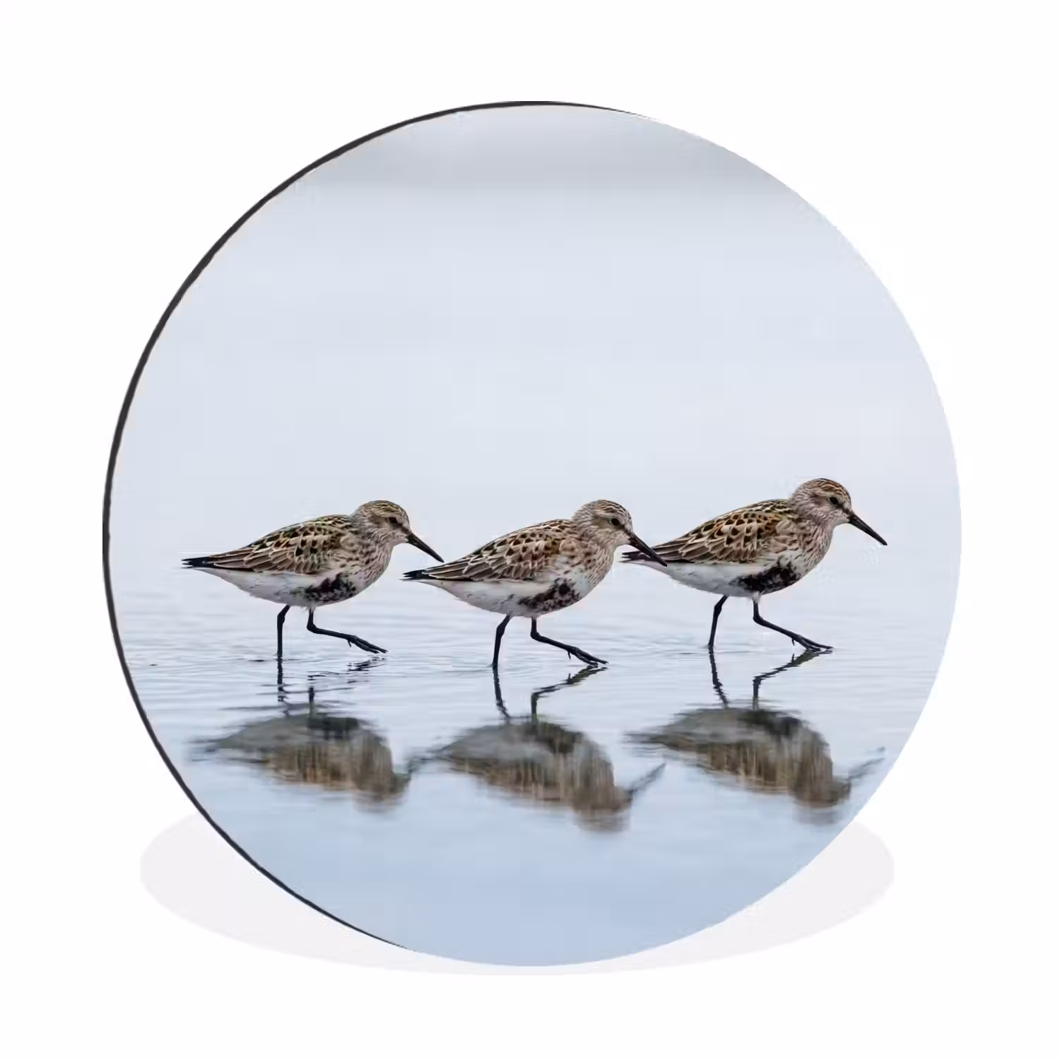 Vogels - Water - Grijs Wandcirkel aluminium klein -3d