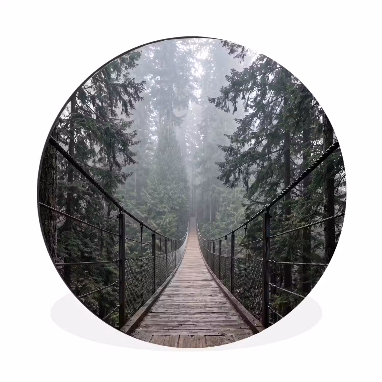 Brug - Bos - Mist - Natuur Wandcirkel aluminium klein -3d
