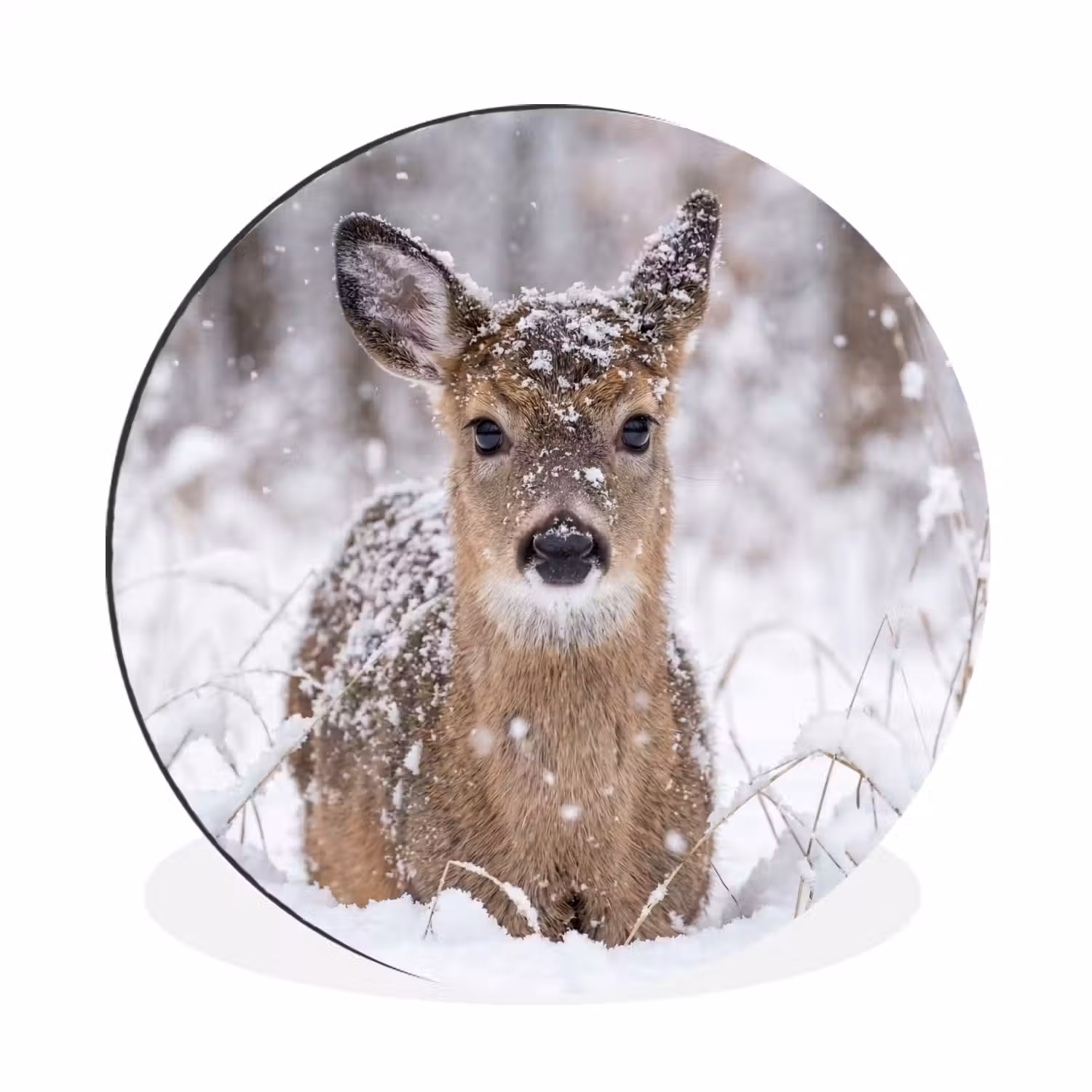Hert - Sneeuw - Bos - Dieren - Vertederend Wandcirkel aluminium klein -3d