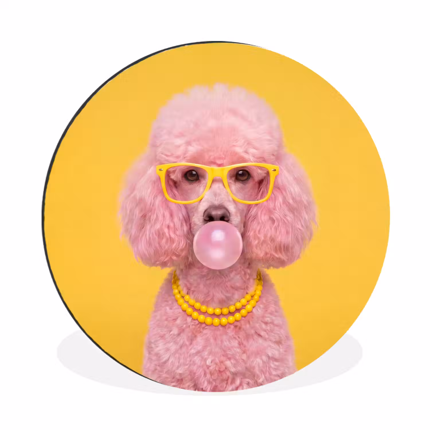 Hond - Kauwgum - Dieren - Modern - Roze Wandcirkel aluminium klein -3d