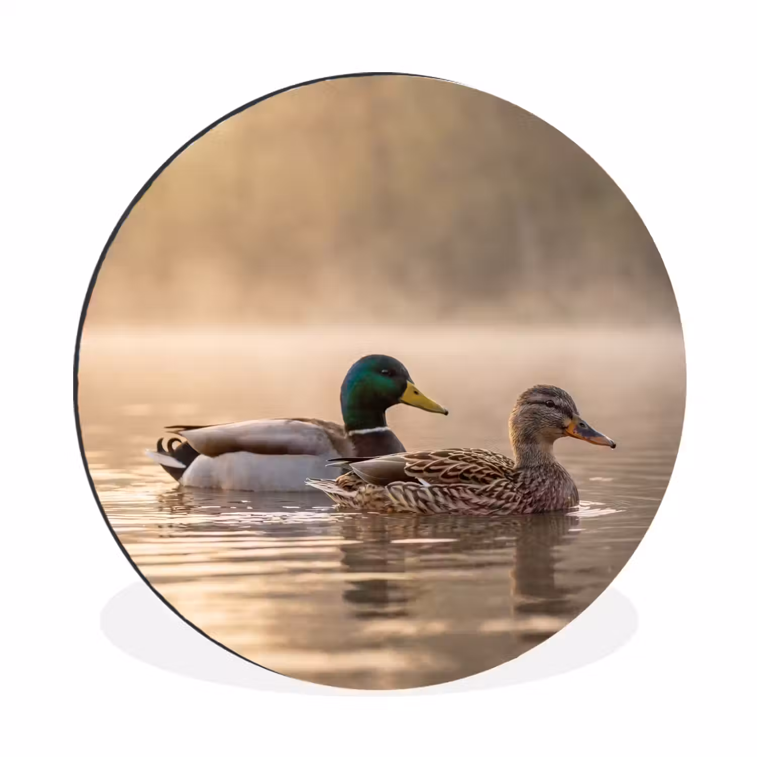 Eenden - Water - Mist - Natuur Wandcirkel aluminium klein -3d