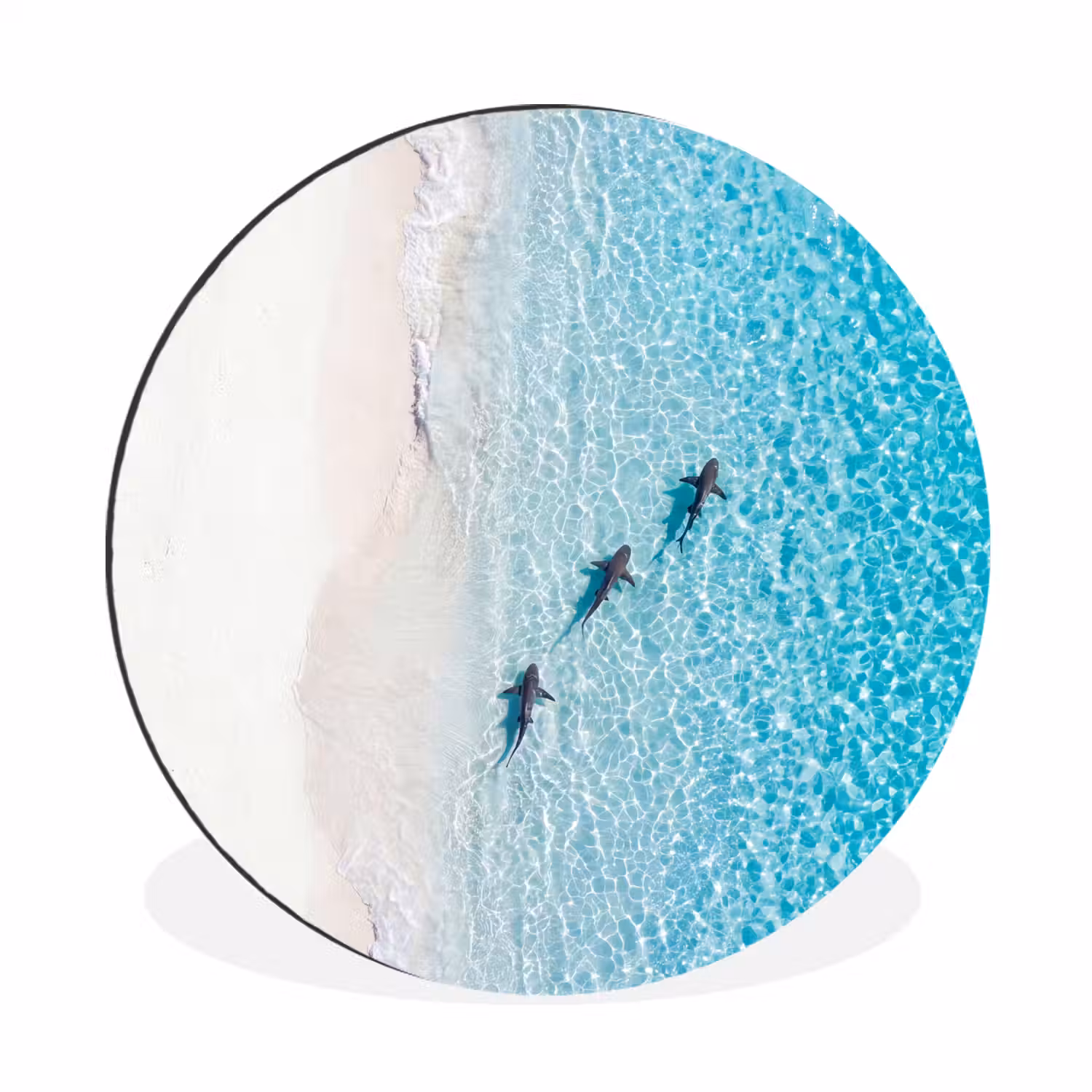 Vis - Oceaan - Strand - Turquoise - Natuur Wandcirkel aluminium klein -3d