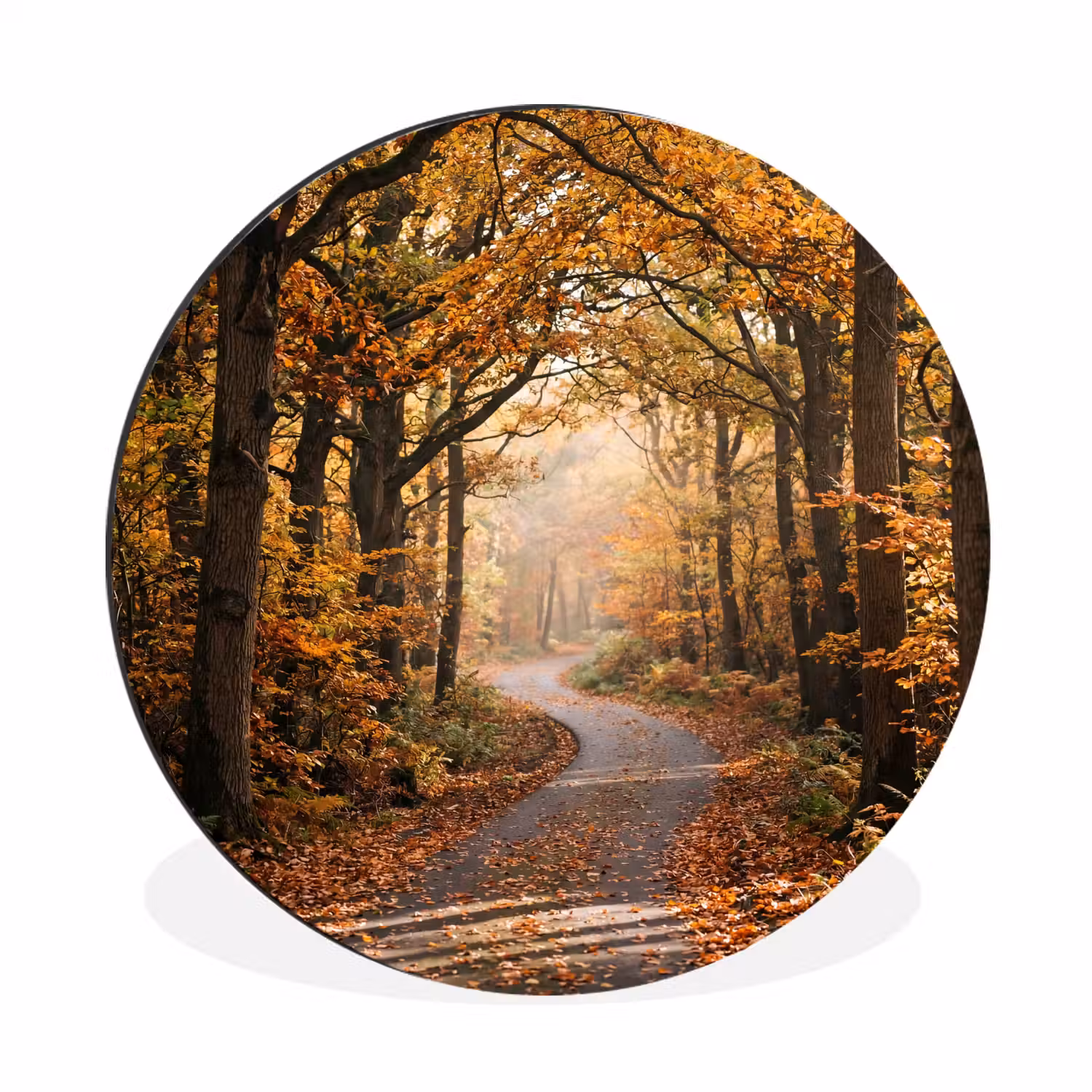 Bospad - Herfstbos - Bladeren - Oranje - Nostalgisch Wandcirkel aluminium klein -3d