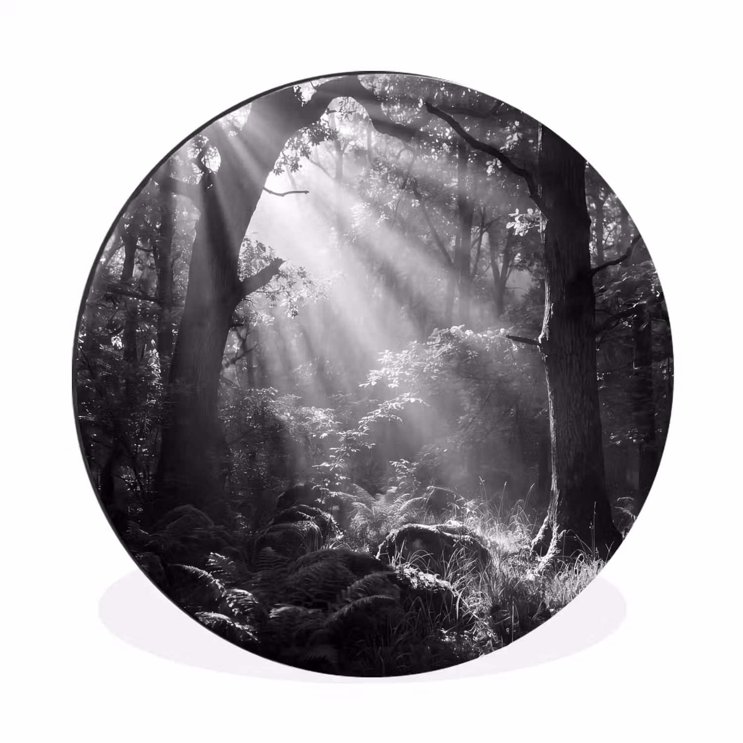 Bos - Lichtstralen - Natuur - Zwart-wit Wandcirkel aluminium klein -3d