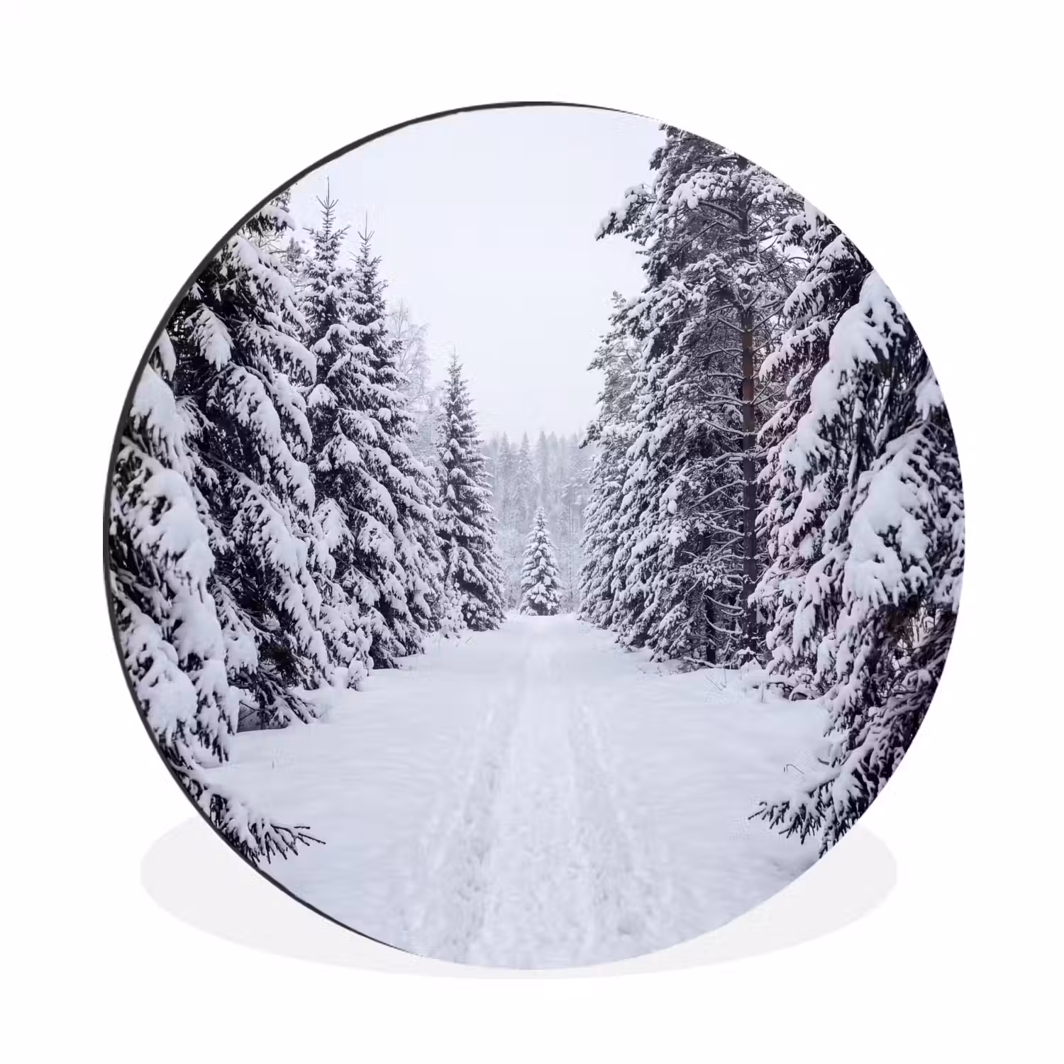 Bos - Winter - Sneeuw - Pad - Natuur Wandcirkel aluminium klein -3d