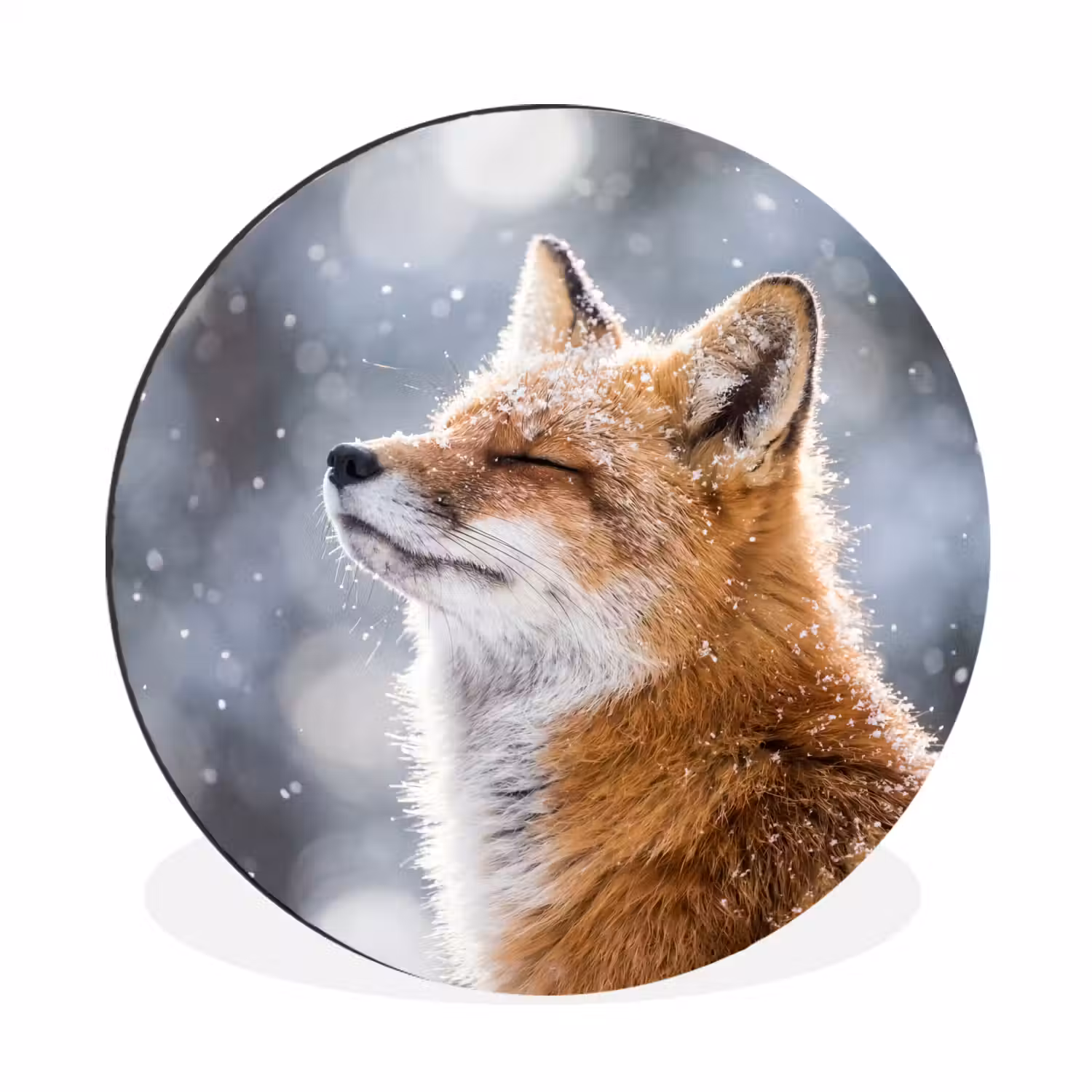 Vos - Sneeuwval - Portret - Winter - Sfeervol Wandcirkel aluminium klein -3d