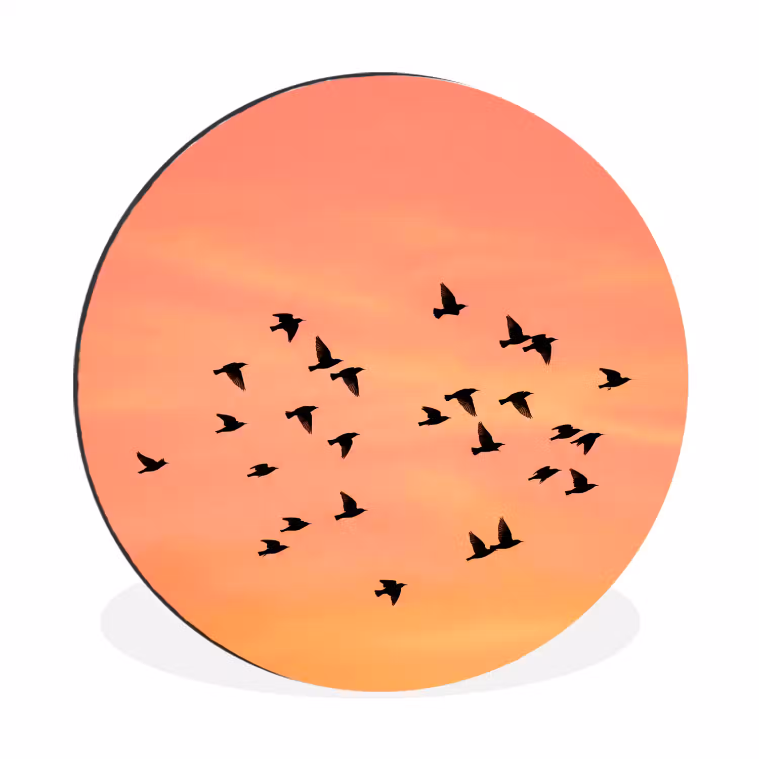 Zwerm - Vogels - Oranje Wandcirkel aluminium klein -3d