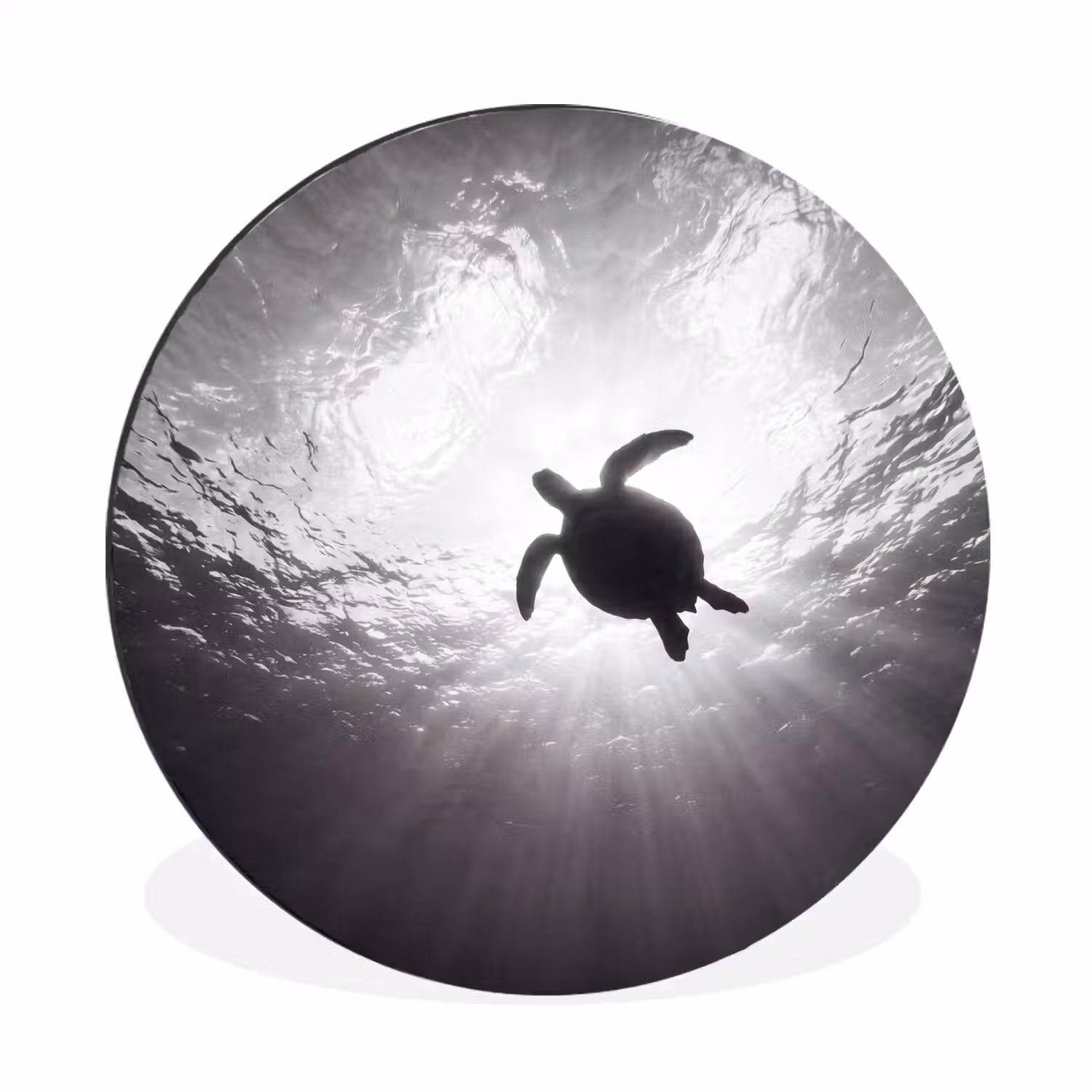 Schildpad - Onderwater - Lichtstralen - Oceaan - Zwart-wit Wandcirkel aluminium klein -3d