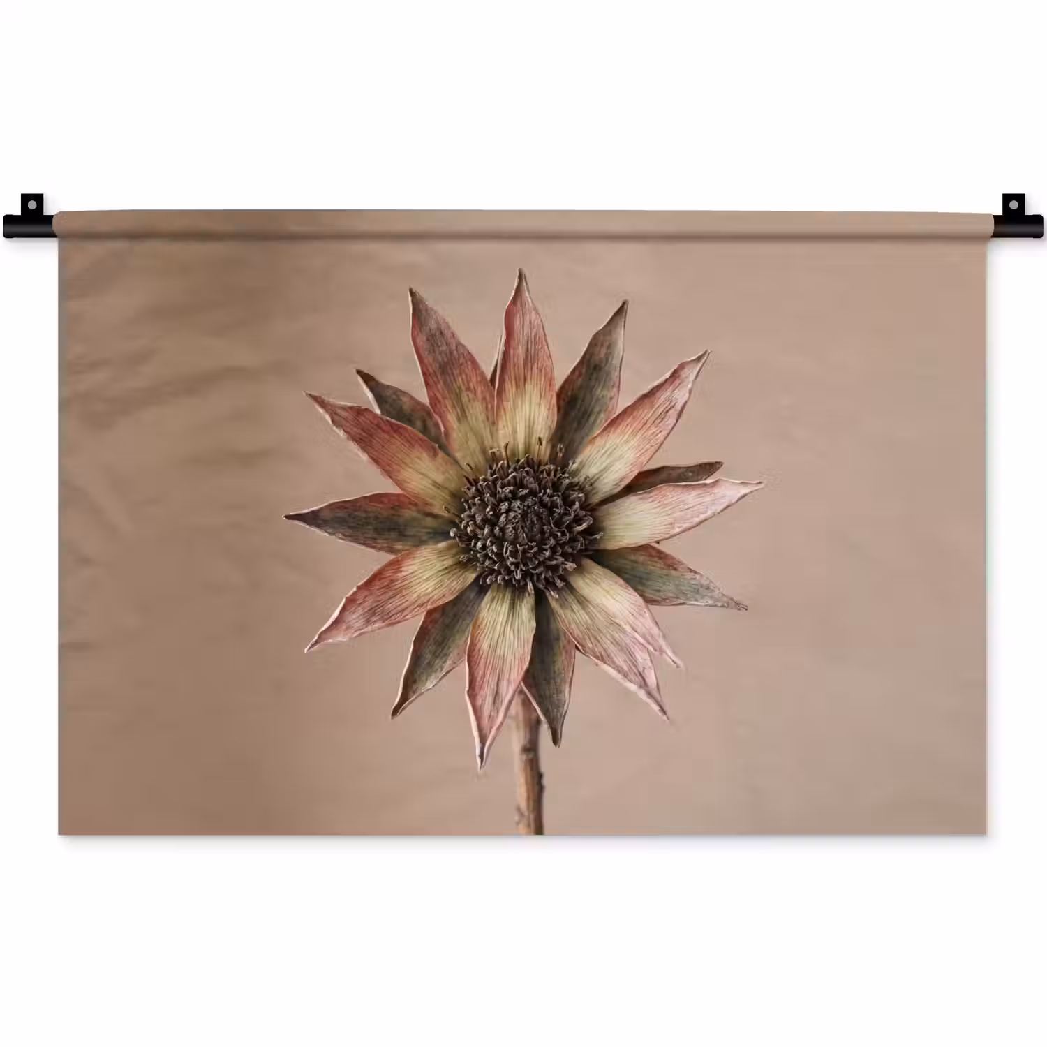 Droogbloem - Protea - Vintage - Beige - Rustiek Wandkleed katoen klein -zz3d