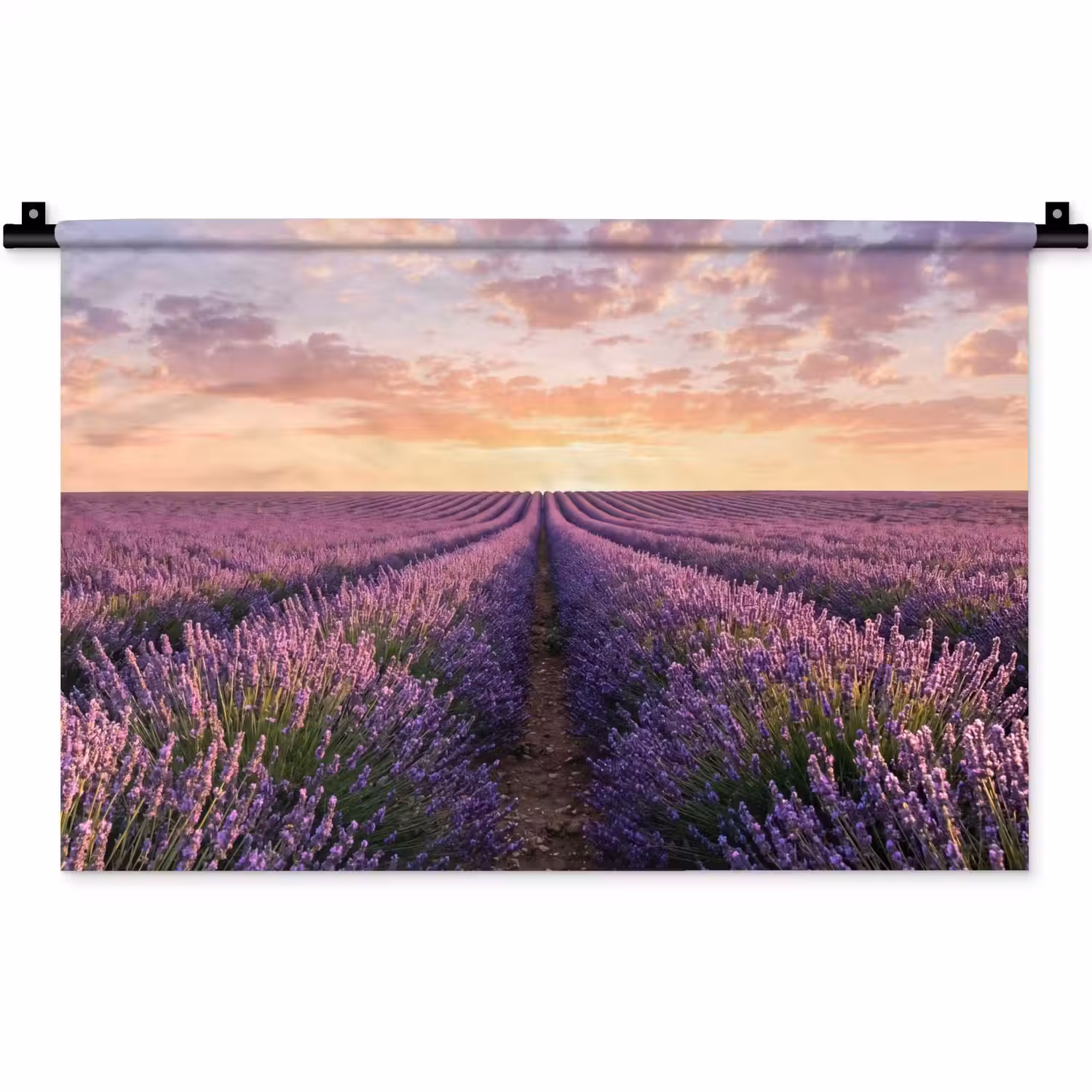 Landschap - Lavendelveld - Paars Wandkleed katoen klein -zz3d