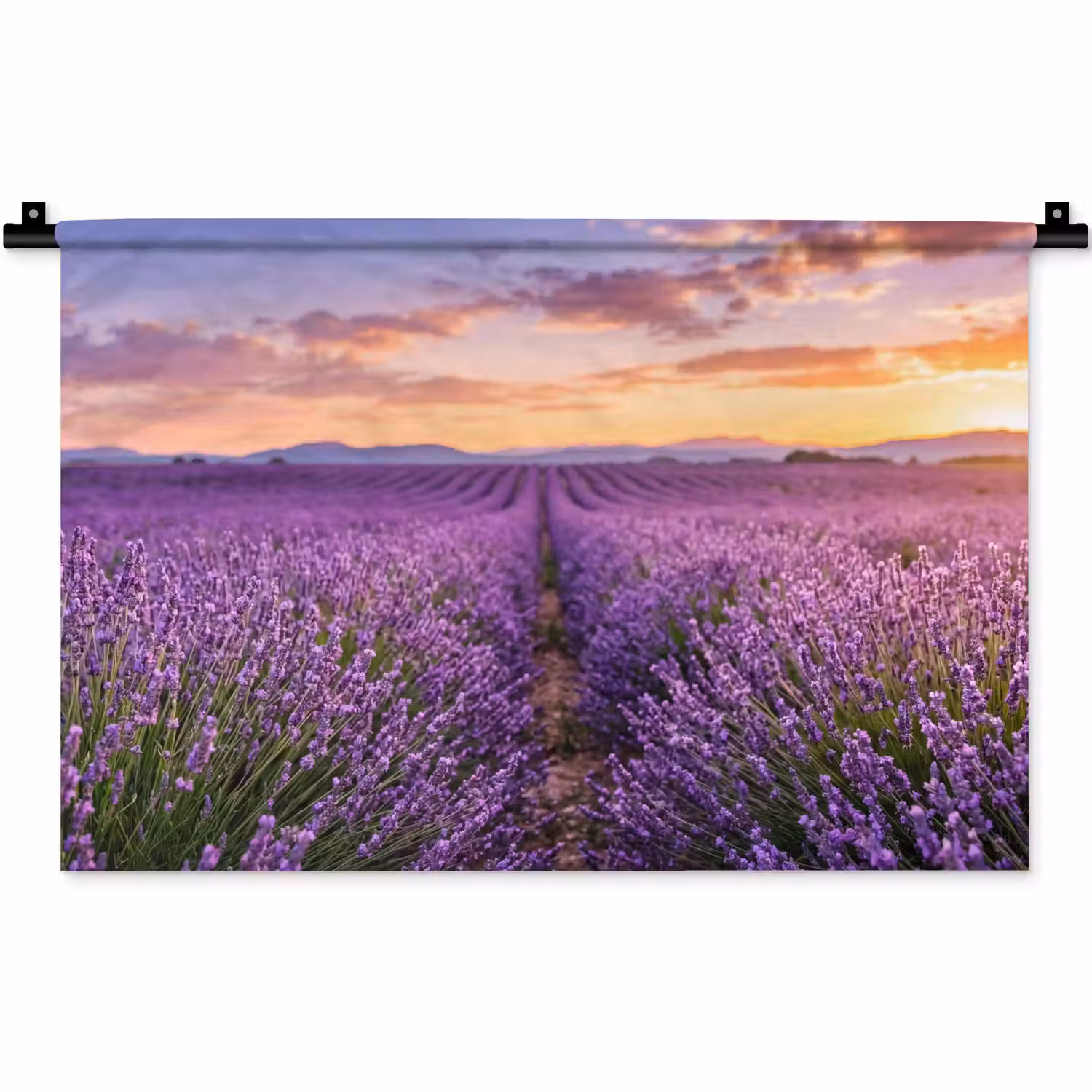 Lavendel - Veld - Natuur - Paars Wandkleed katoen klein -zz3d