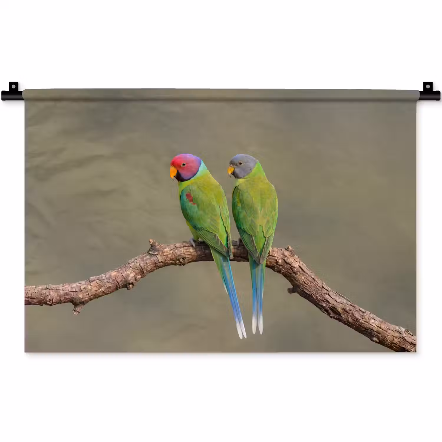 Papagaai - Tak - Natuur - Kleurrijk Wandkleed katoen klein -zz3d