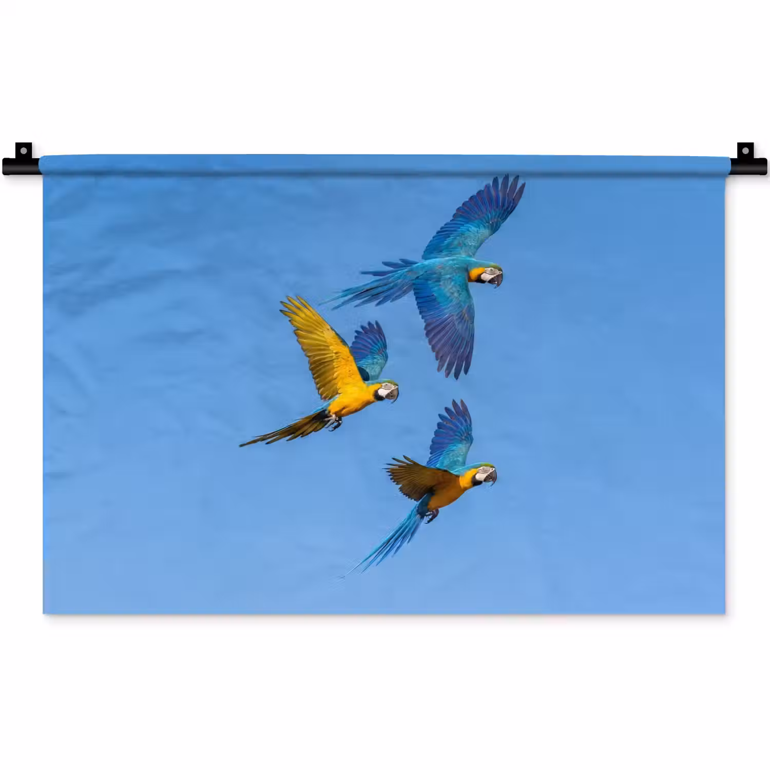 Papagaai - Vliegen - Blauw - Geel Wandkleed katoen klein -zz3d