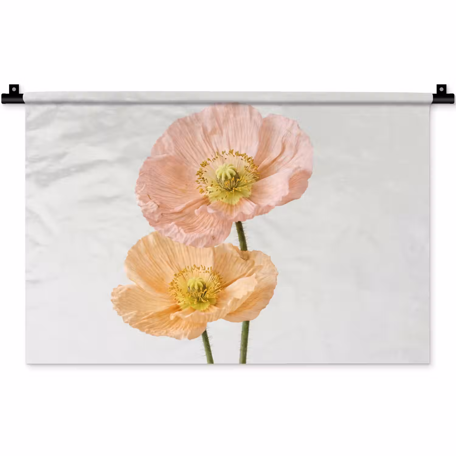 Papavers - Botanisch - Roze Wandkleed katoen klein -zz3d