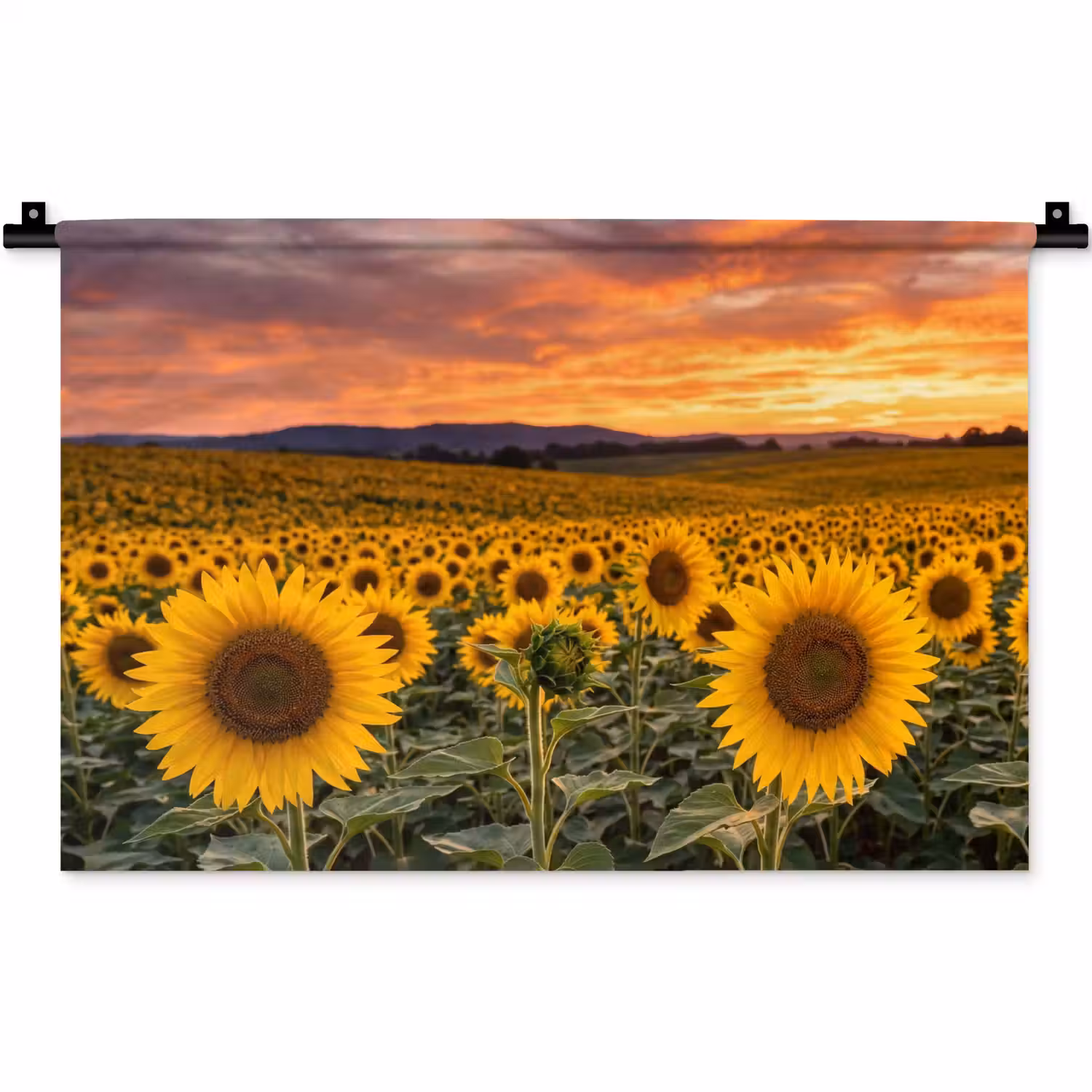 Zonnebloemen - Heuvellandschap - Geel Wandkleed katoen klein -zz3d