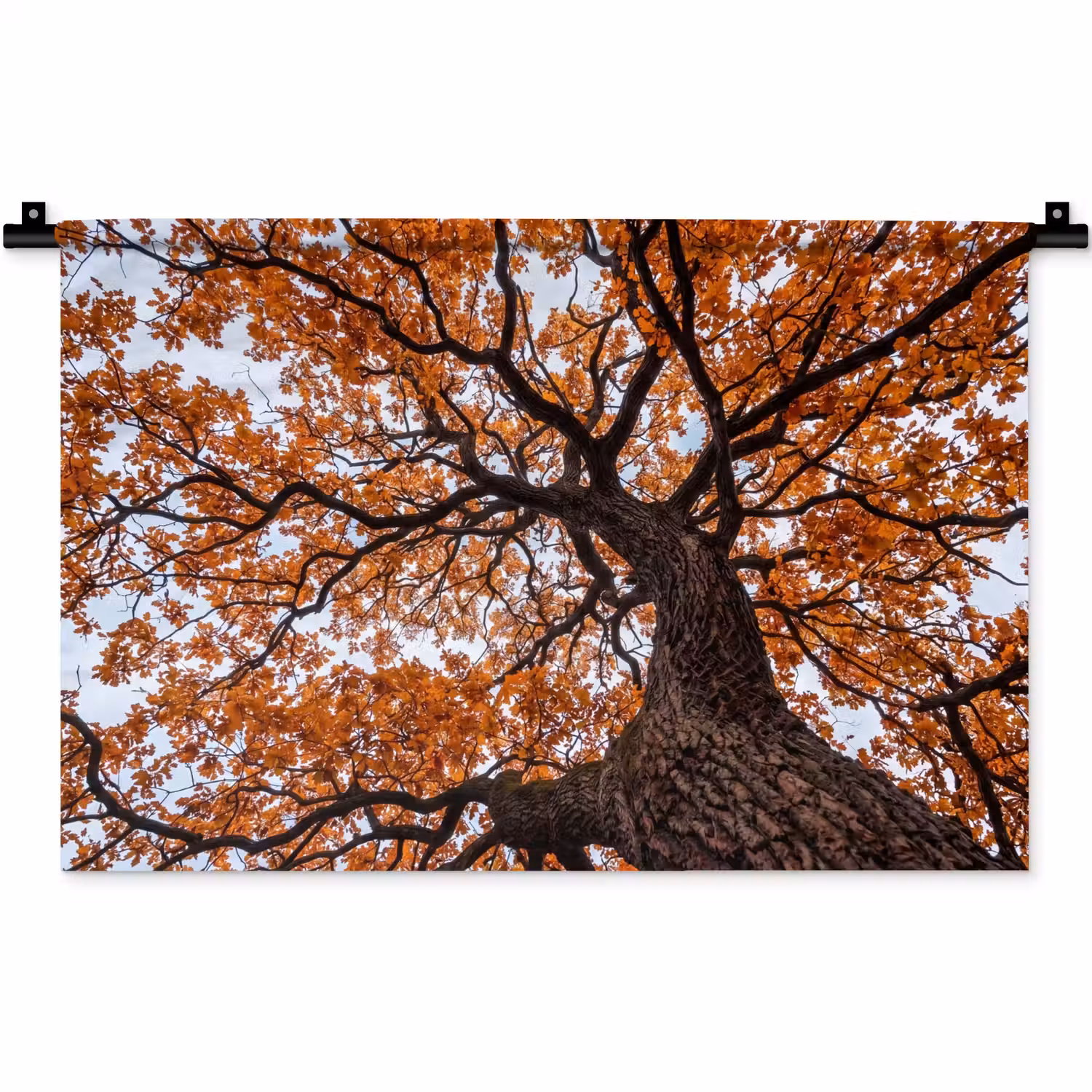 Boom - Bladerdak - Herfst - Oranje - Sfeervol Wandkleed katoen klein -zz3d