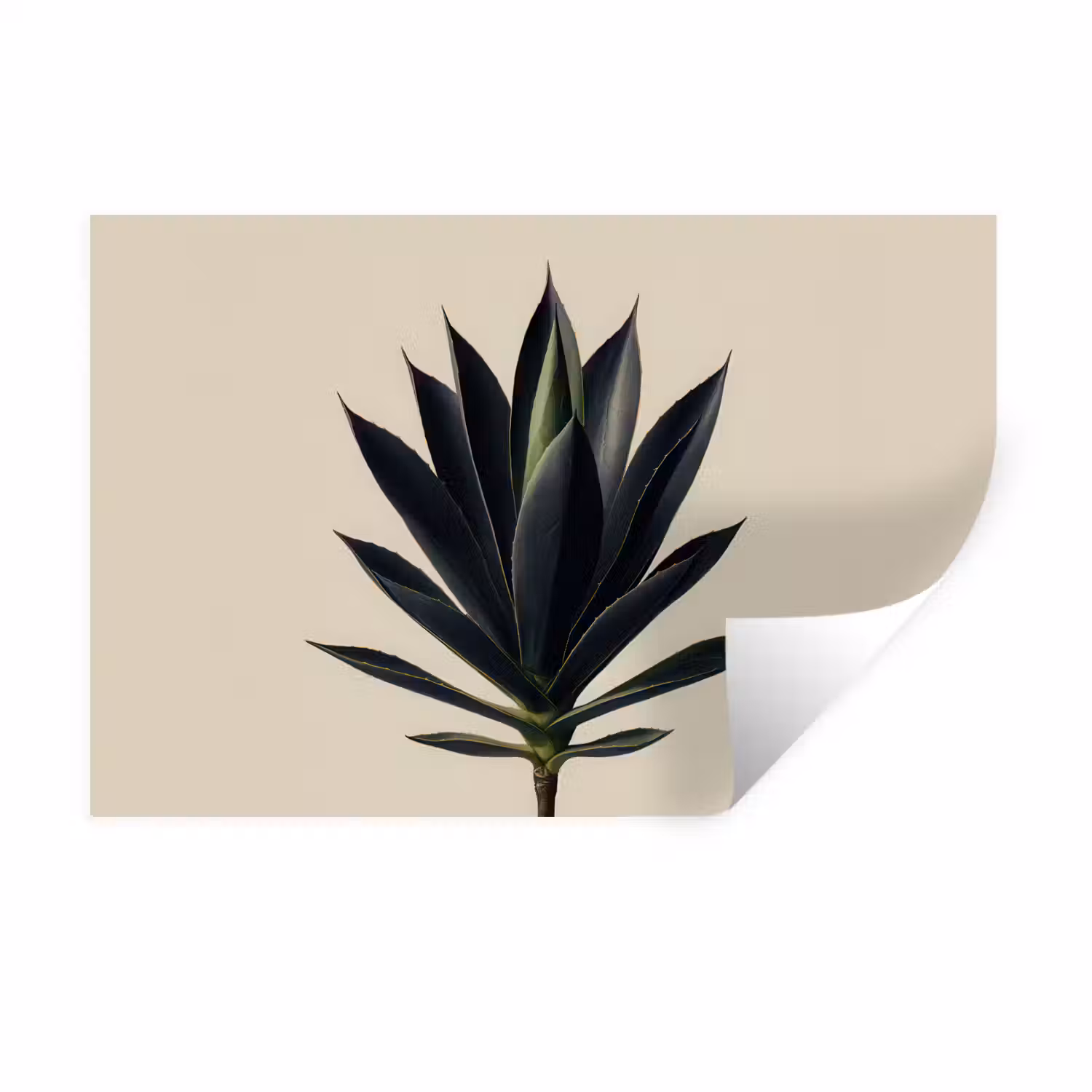 Agaveplant - Symmetrisch - Groen Muursticker klein -3d