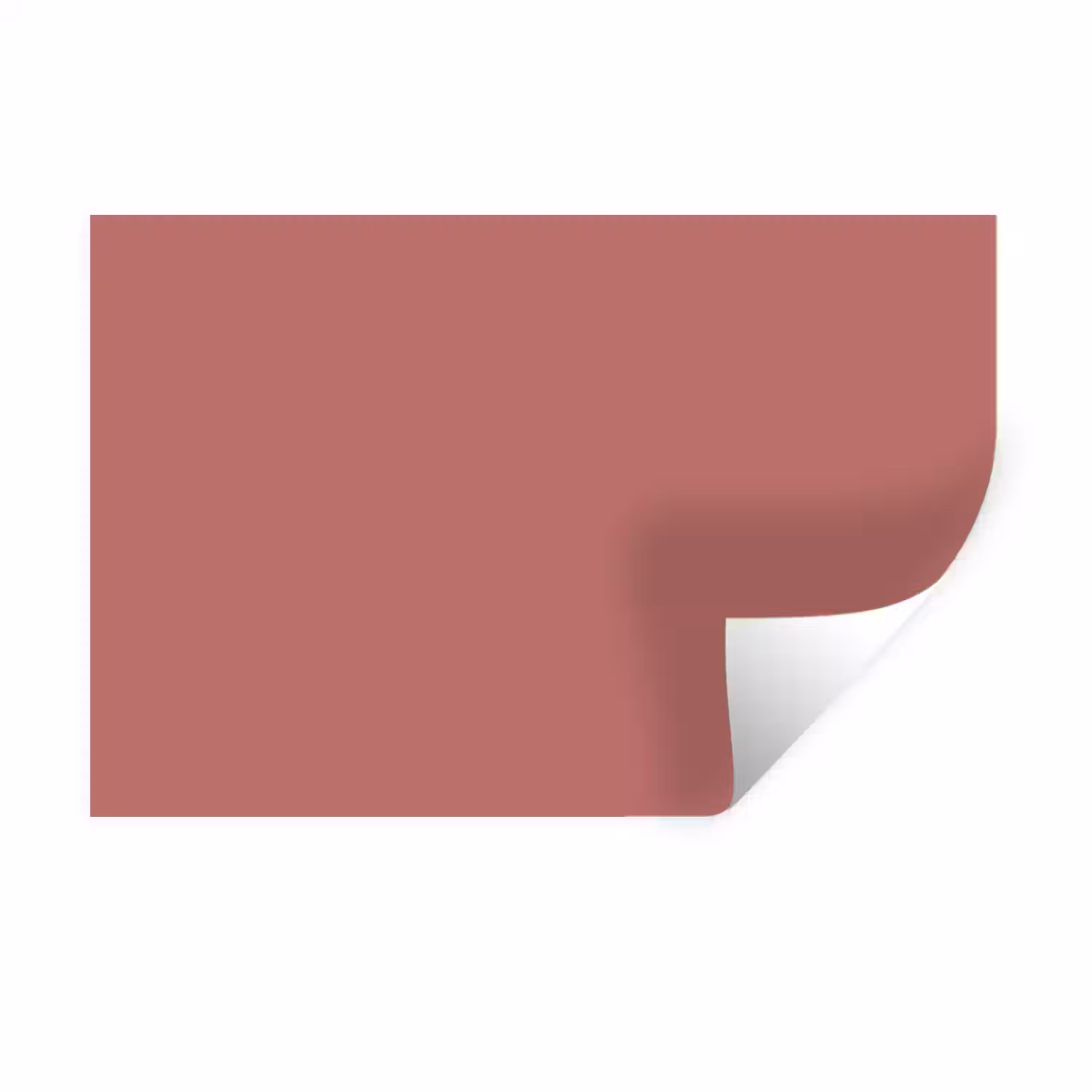Ancient - Rose - Roze Muursticker klein 286 -3d