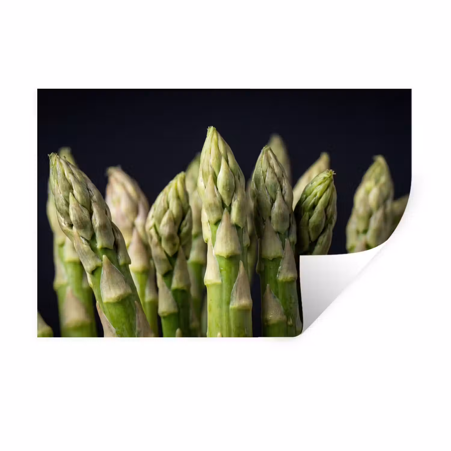 Asperges - Groen - Zwart Muursticker klein -3d