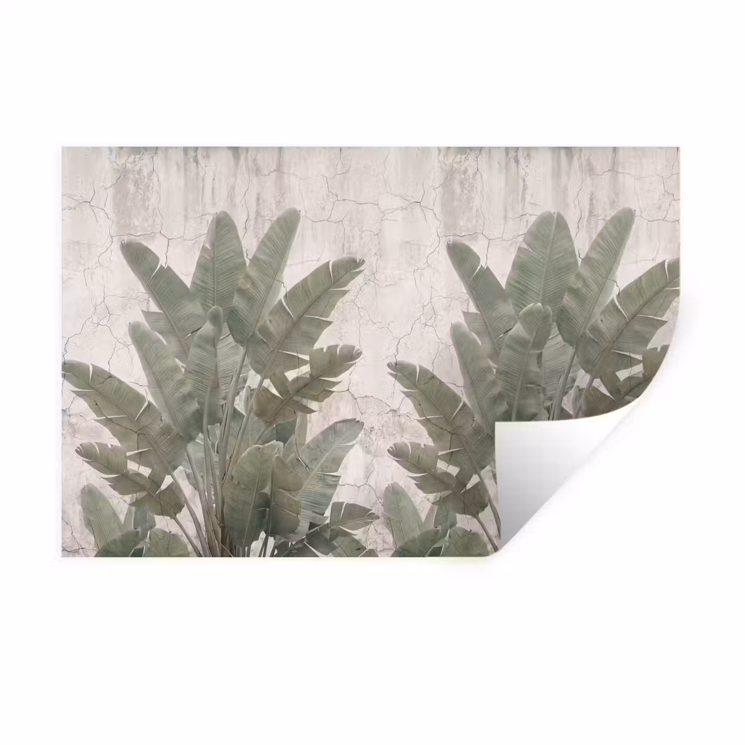 Bananenbladeren - Beton - Groen Muursticker klein -3d