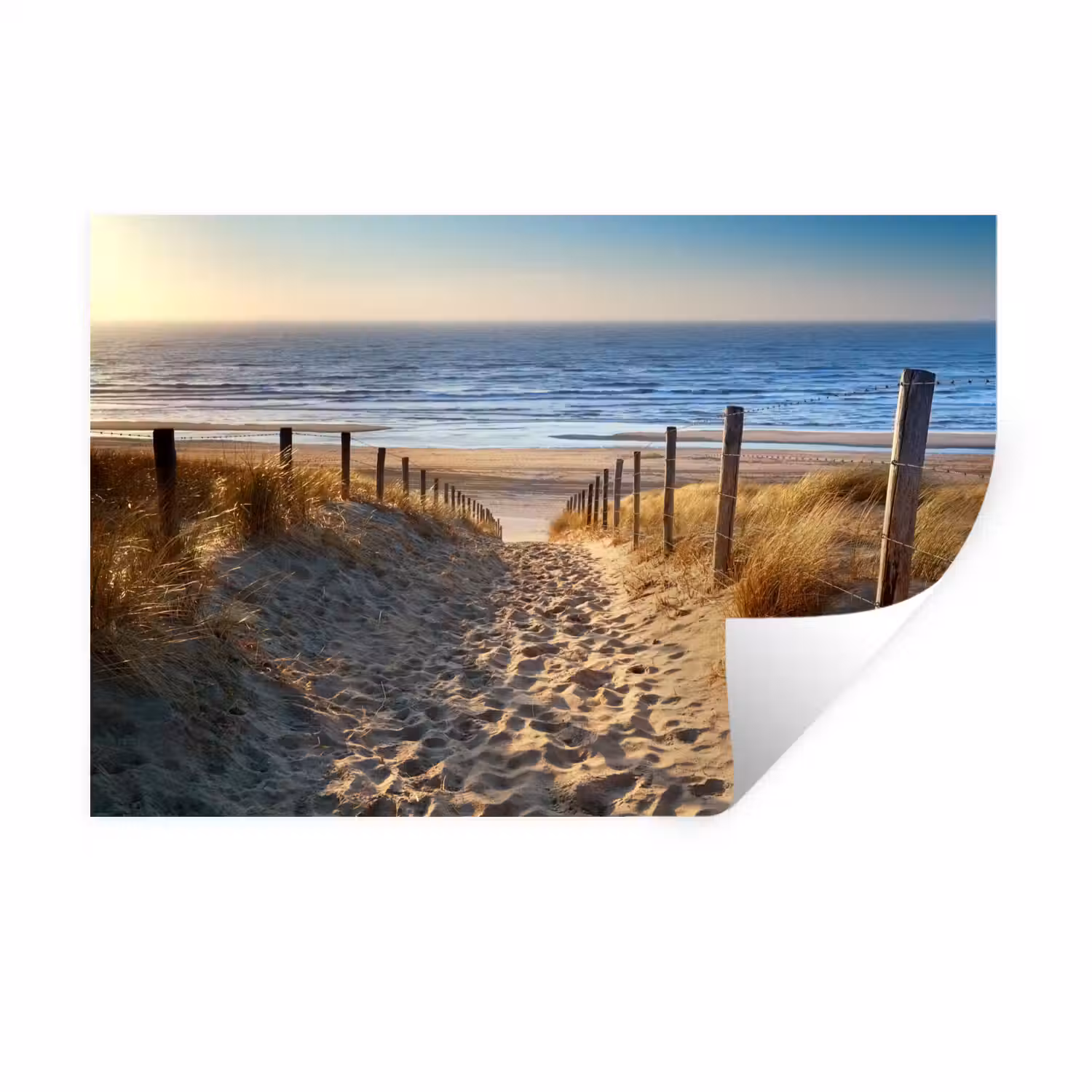 Strand - Zee - Nederland - Duinen - Zon Muursticker klein -3d