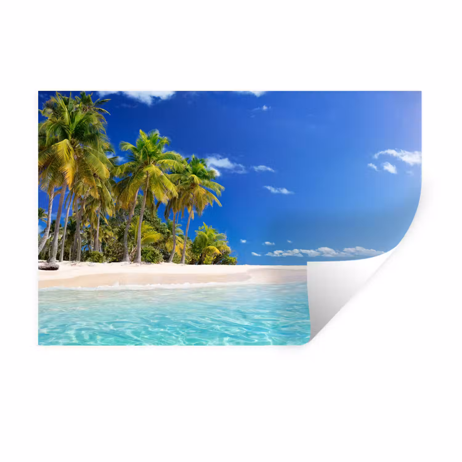 Strand - Zee - Palmboom - Zon - Zomer Muursticker klein -3d