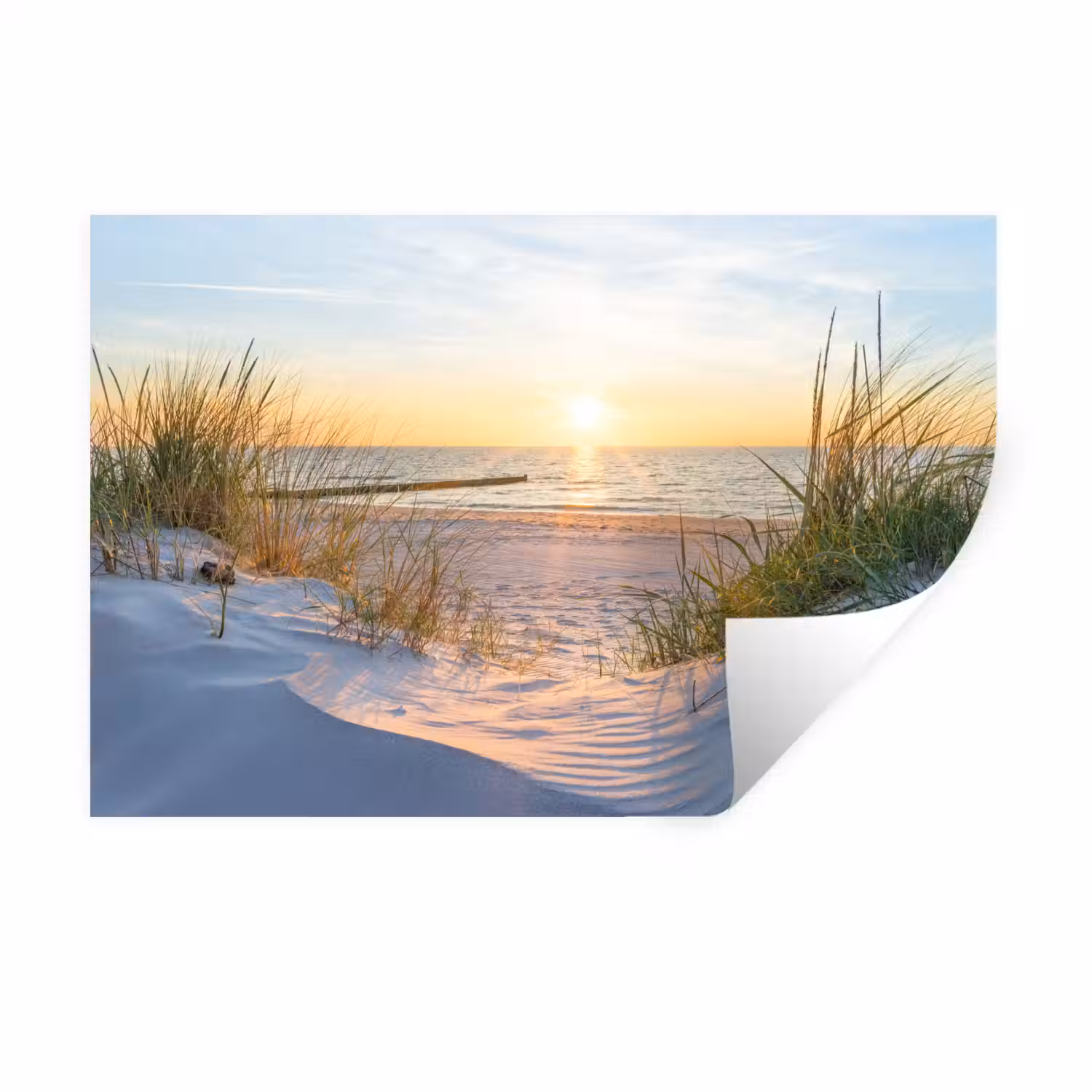 Strand - Zon - Duin - Gras - Zand - Horizon Muursticker klein -3d