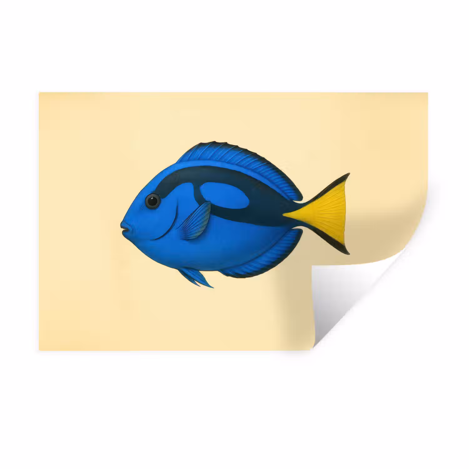 Blauw - Dory - Vis - Staartvin Muursticker klein -3d